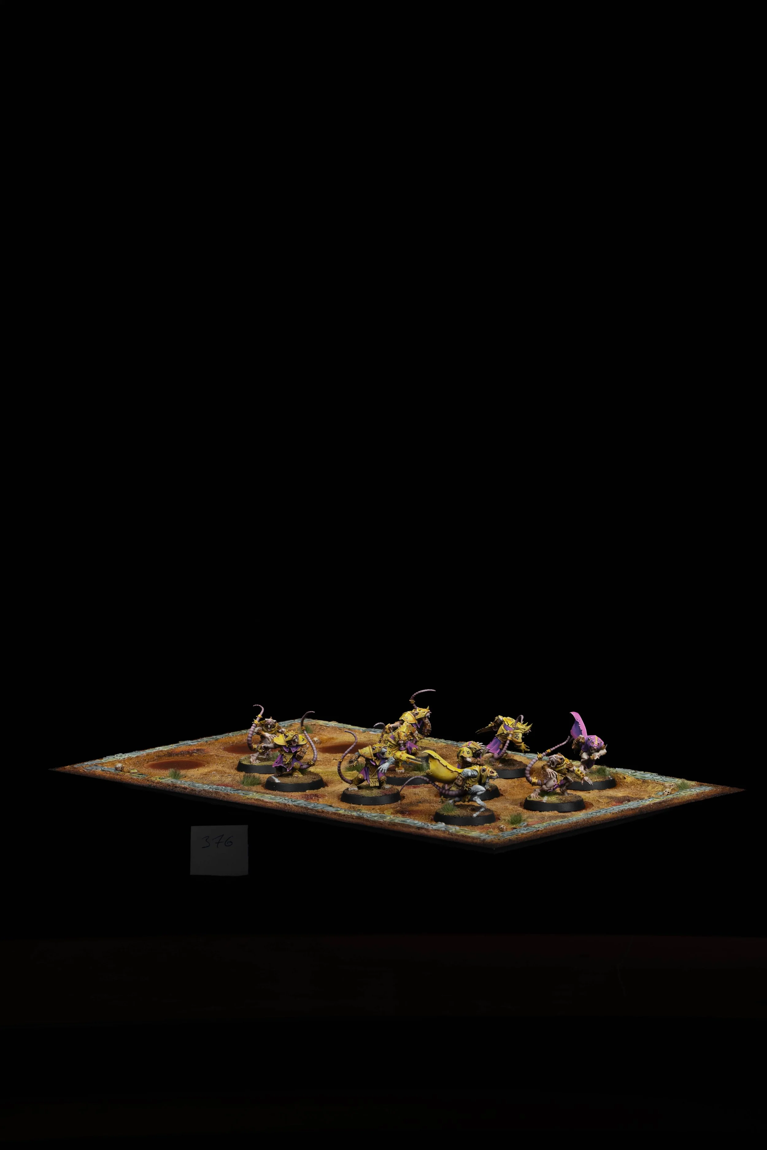 376.jpg