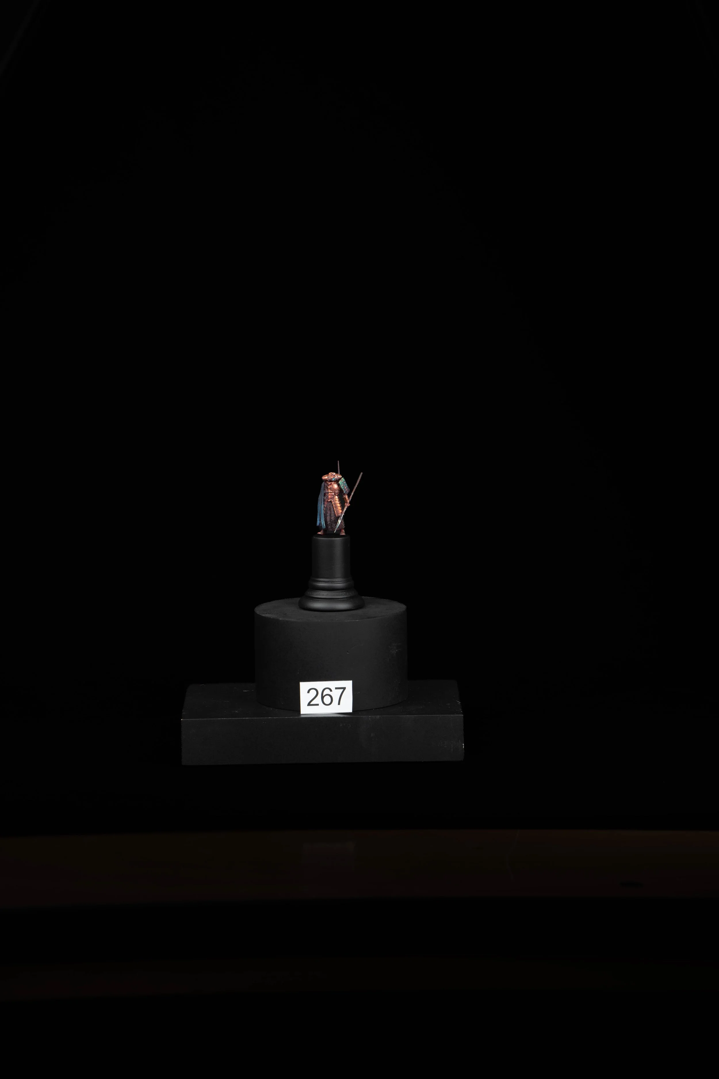 267.jpg