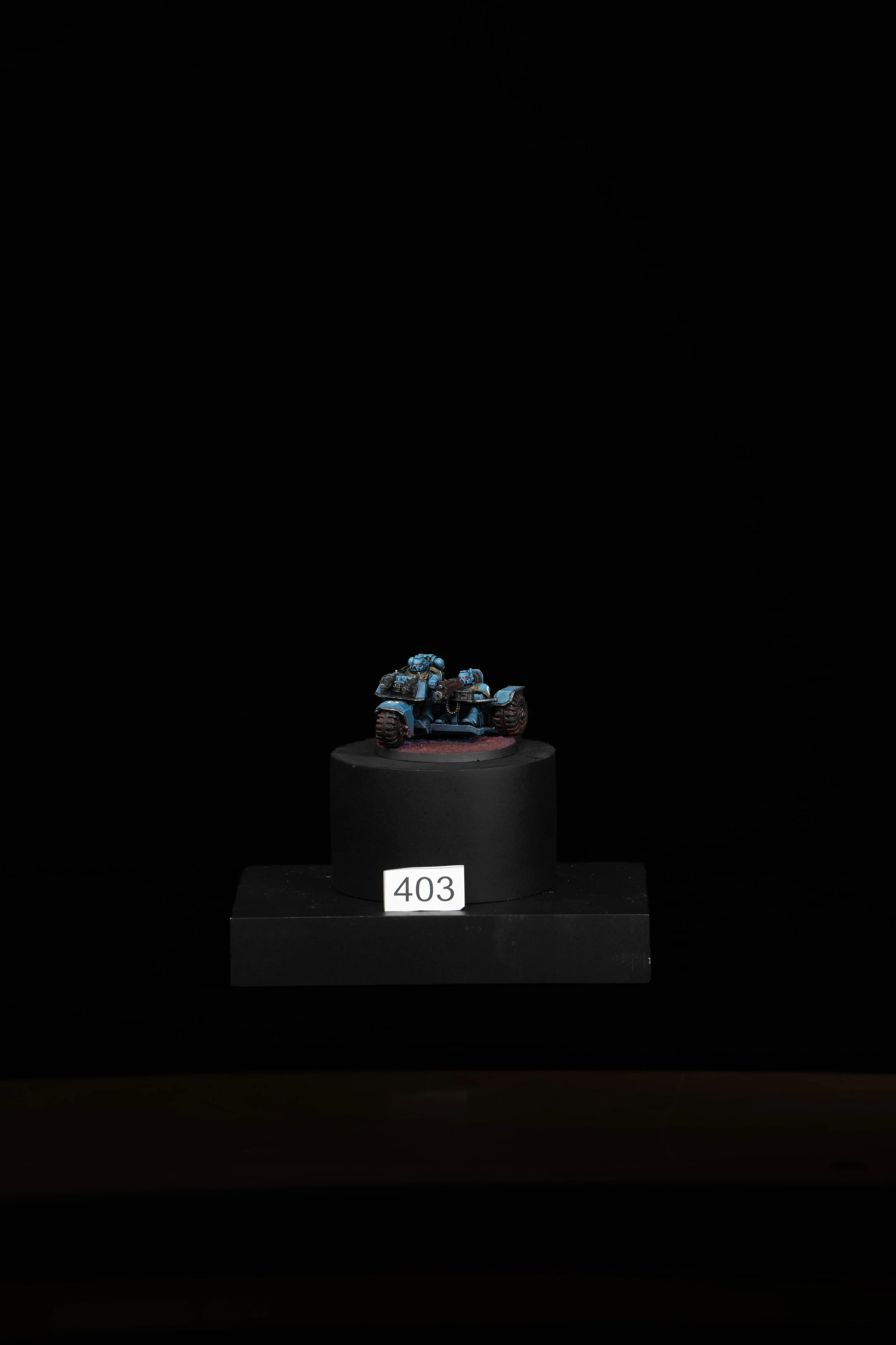 403.jpg