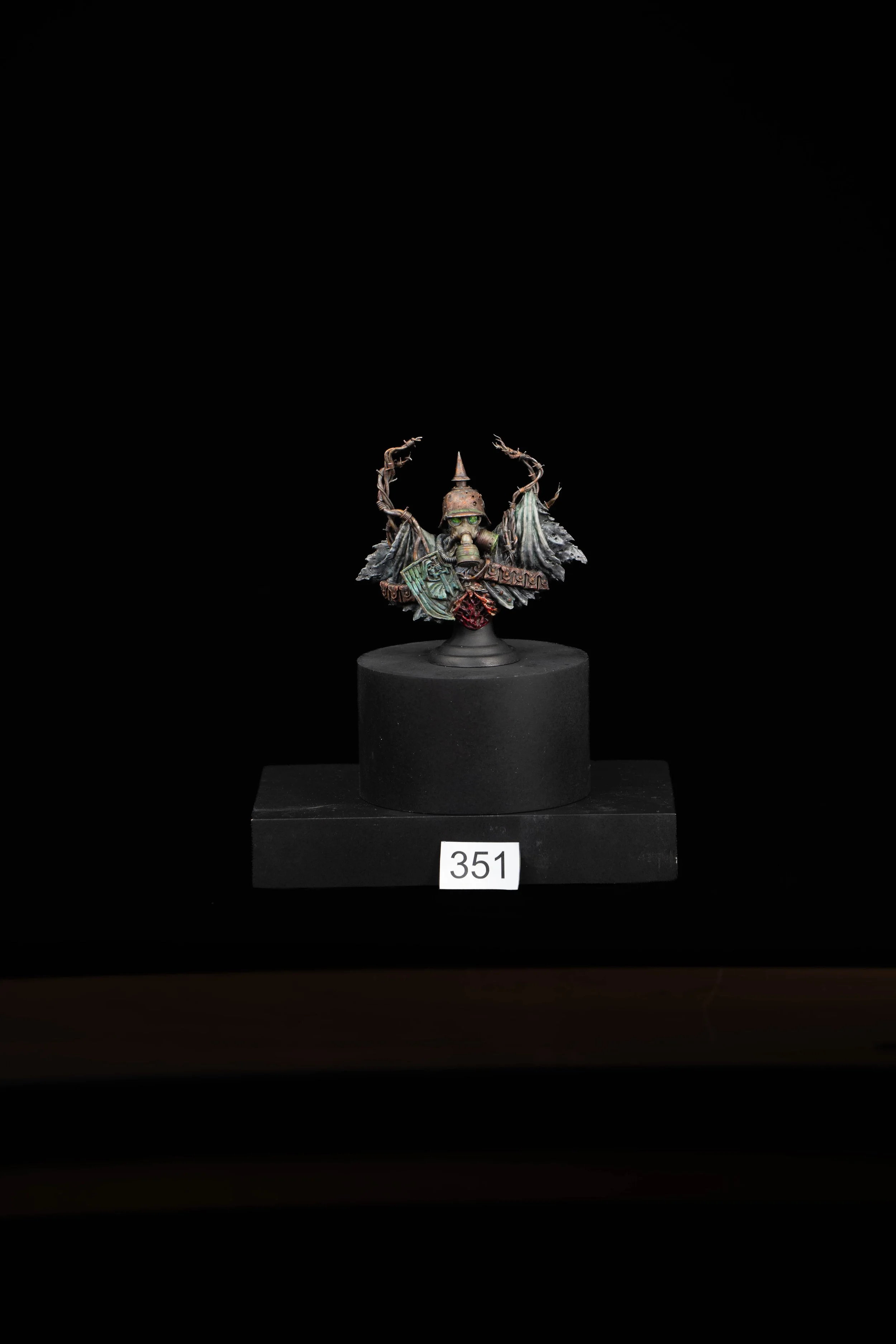 351.jpg