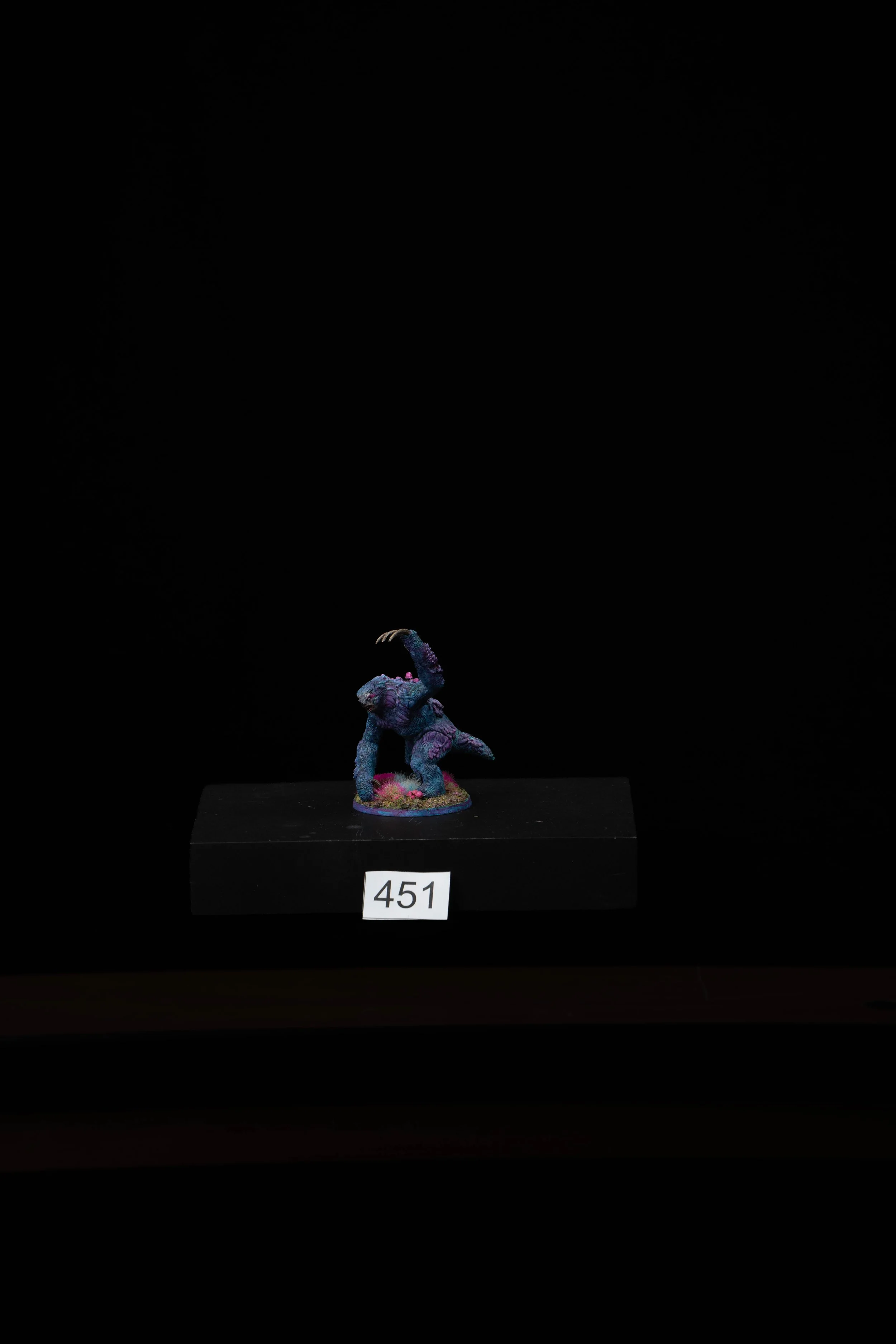 451.jpg