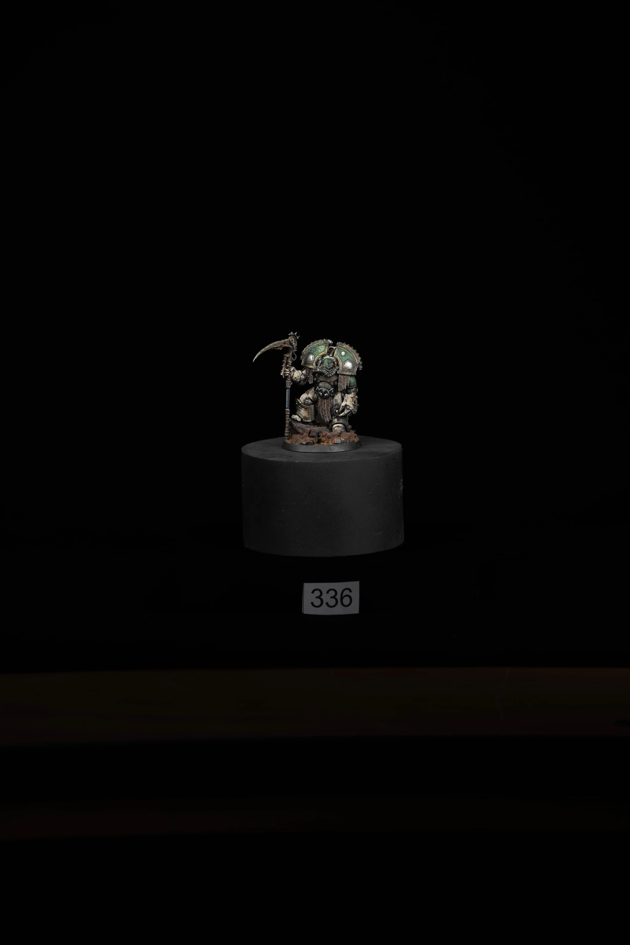 336.jpg