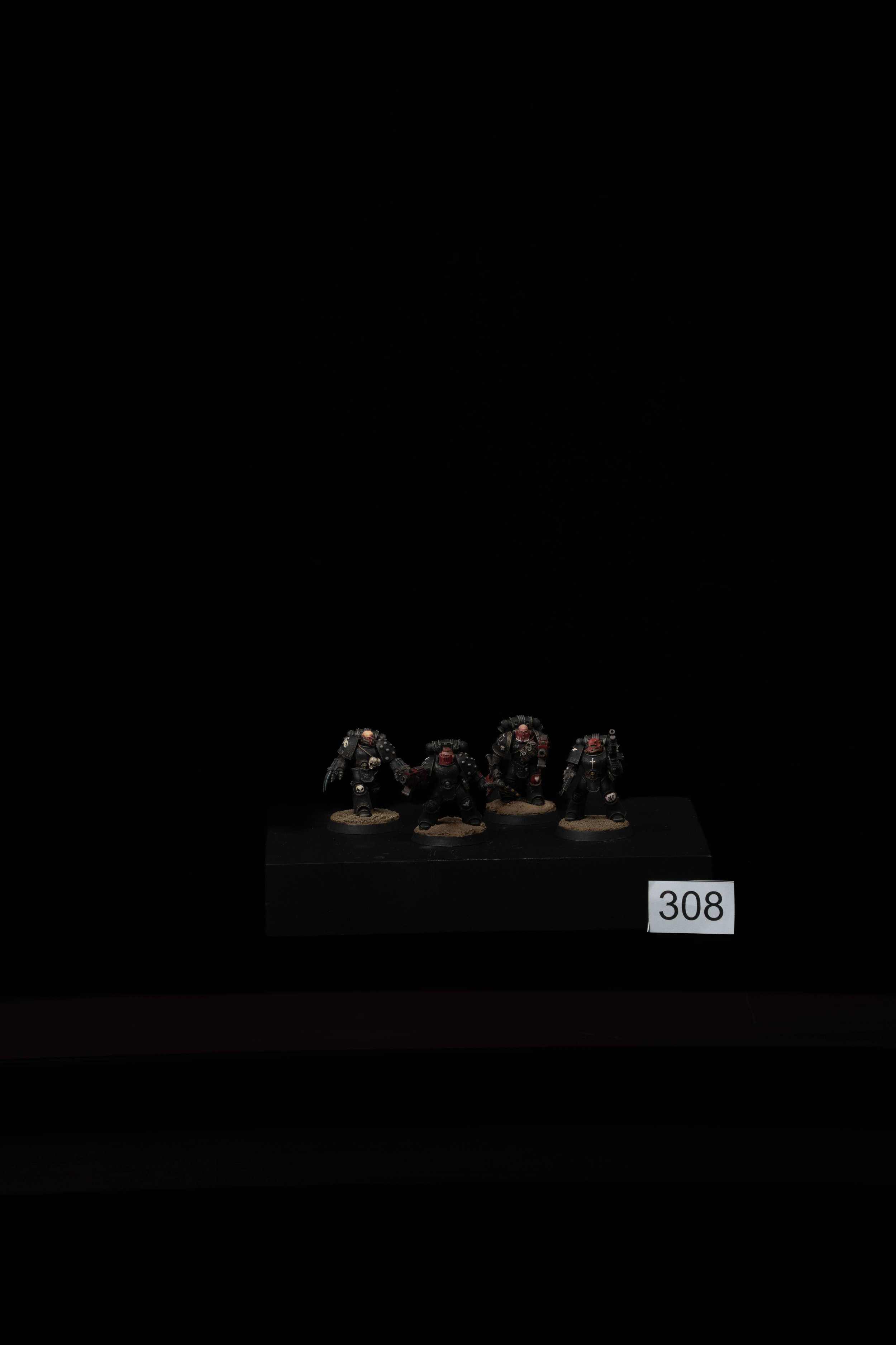 308.jpg