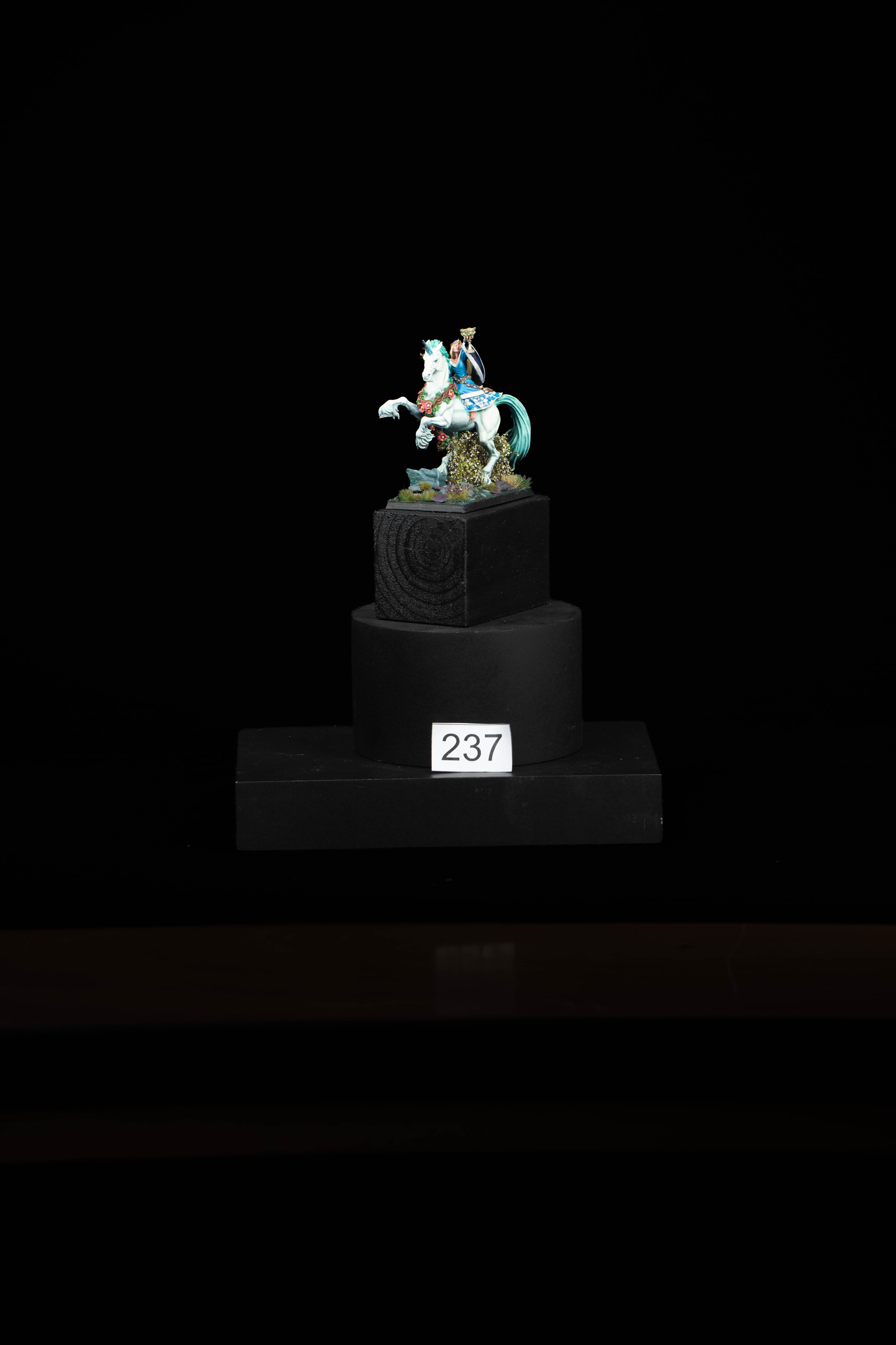 237.jpg