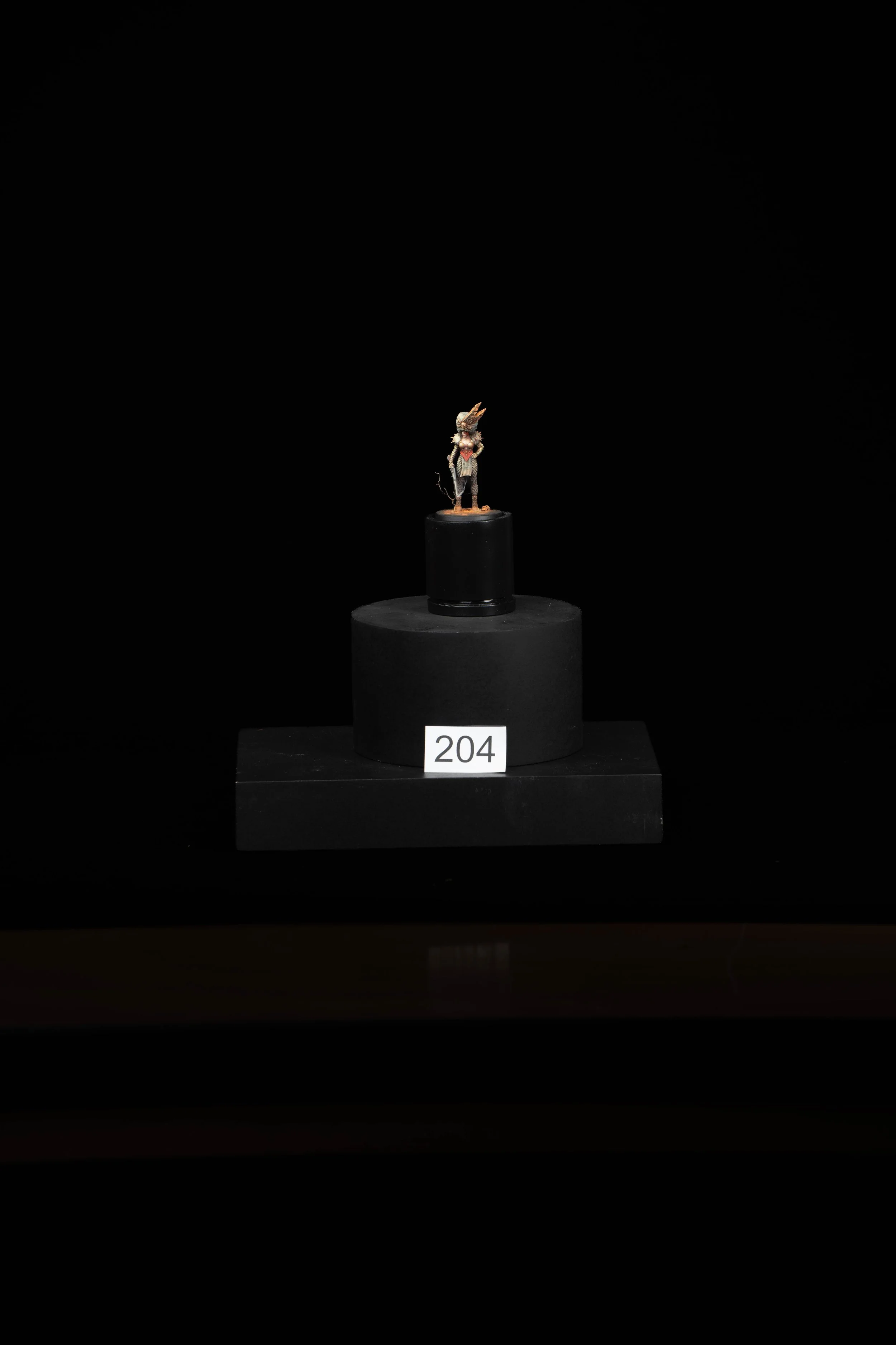 204.jpg