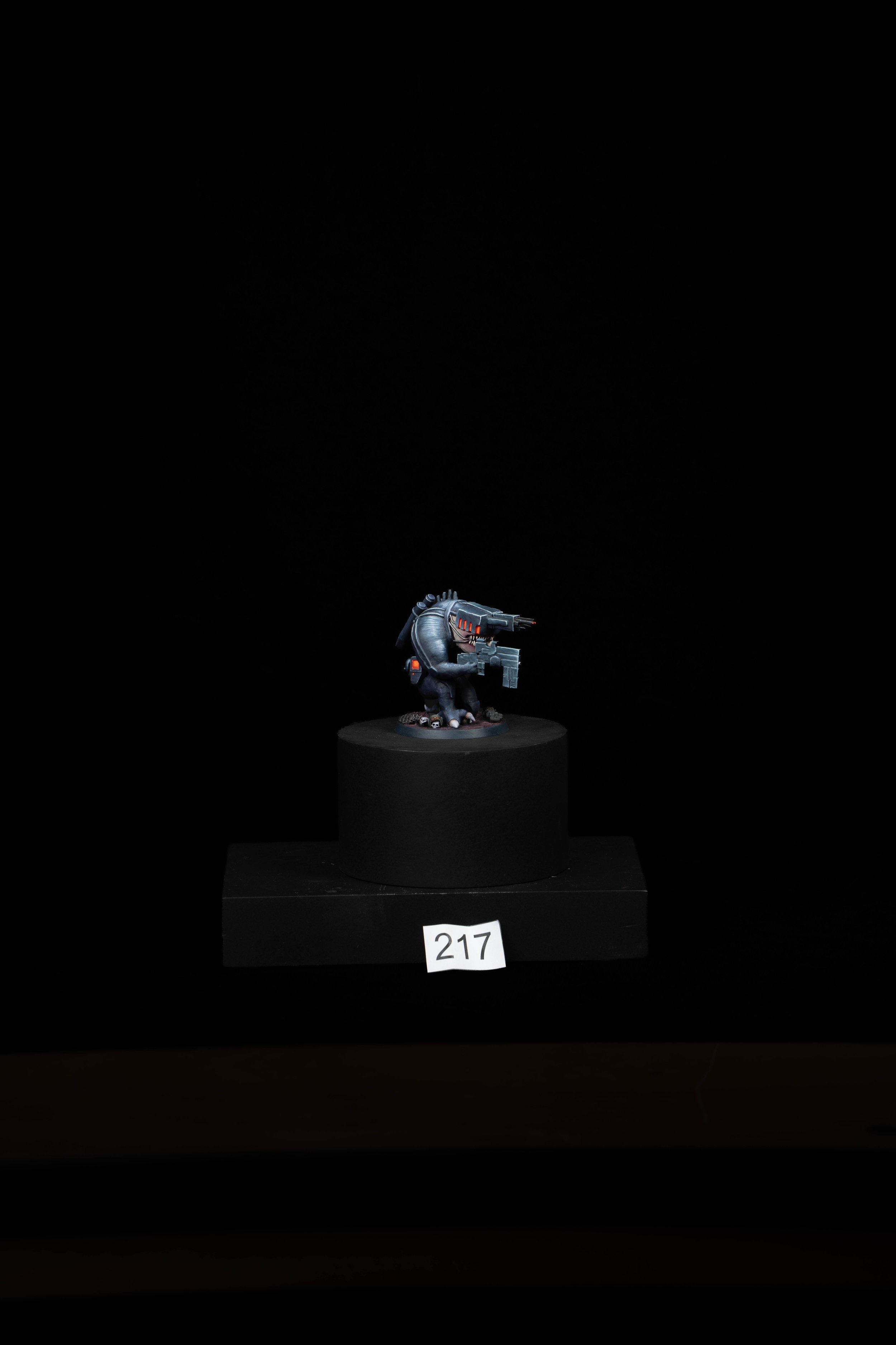 217.jpg