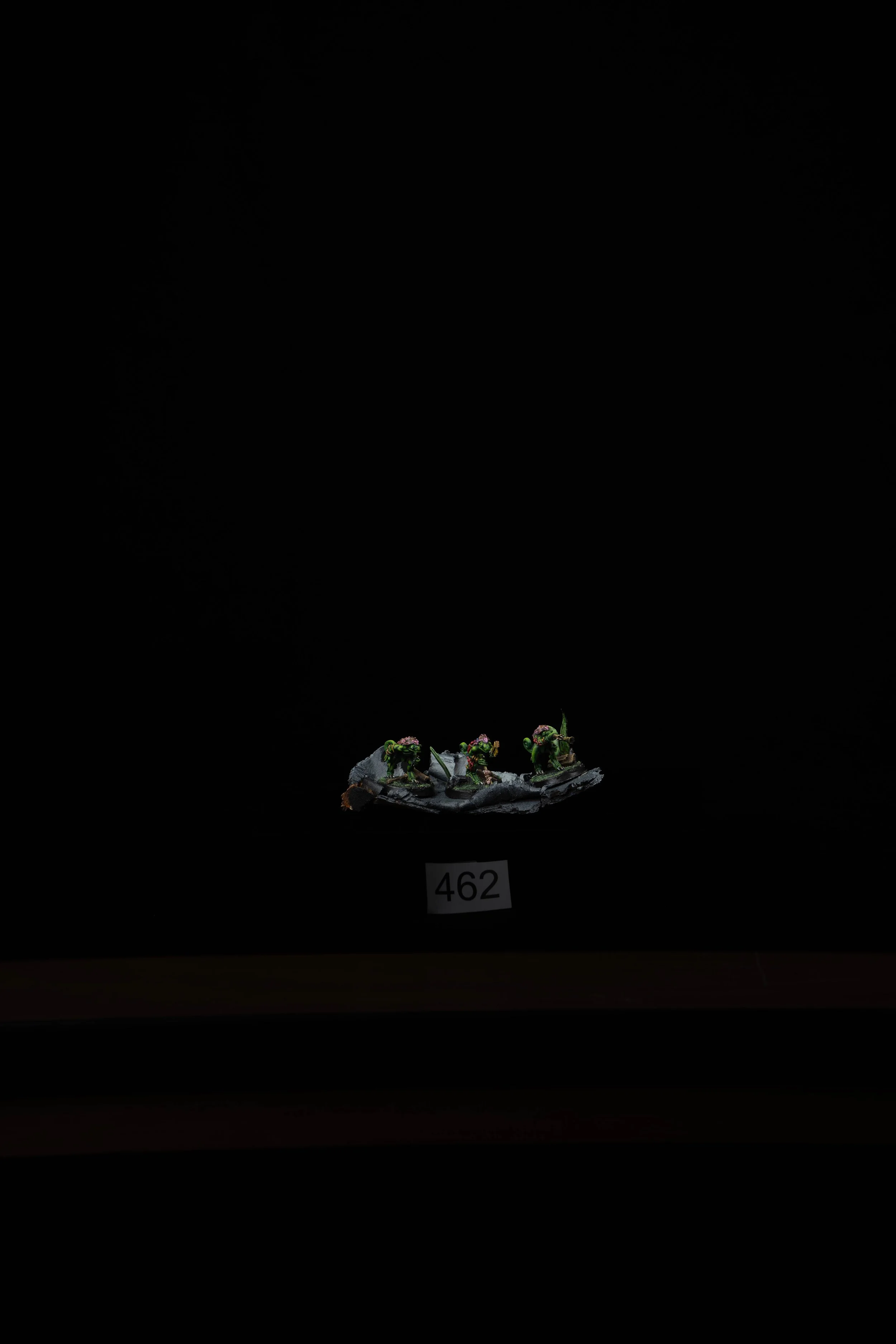 462.jpg