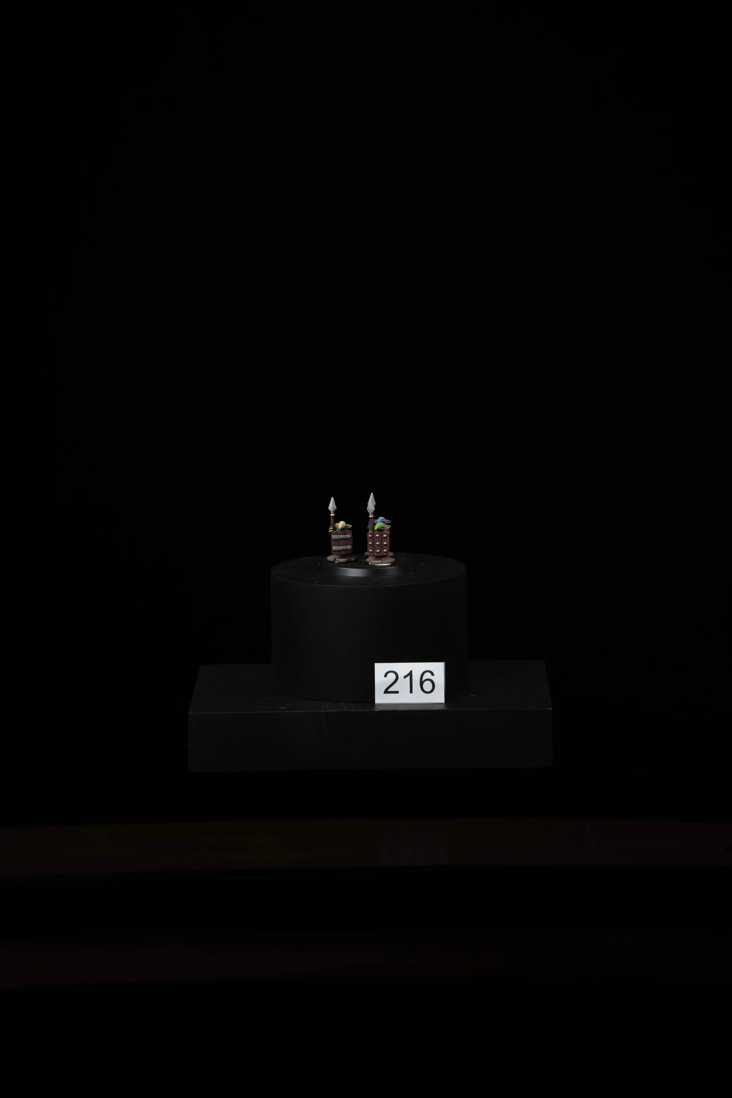 216.jpg