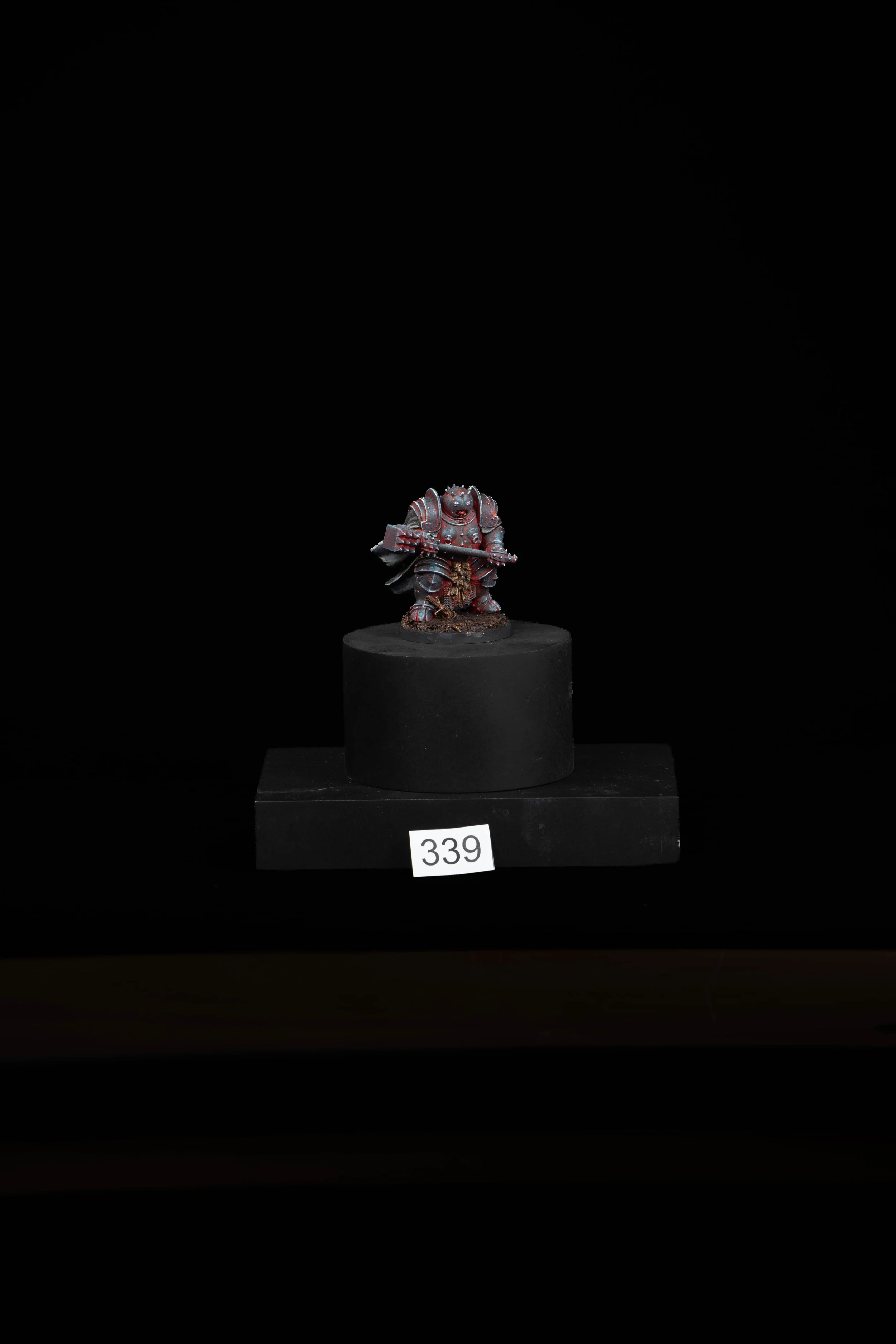 339.jpg