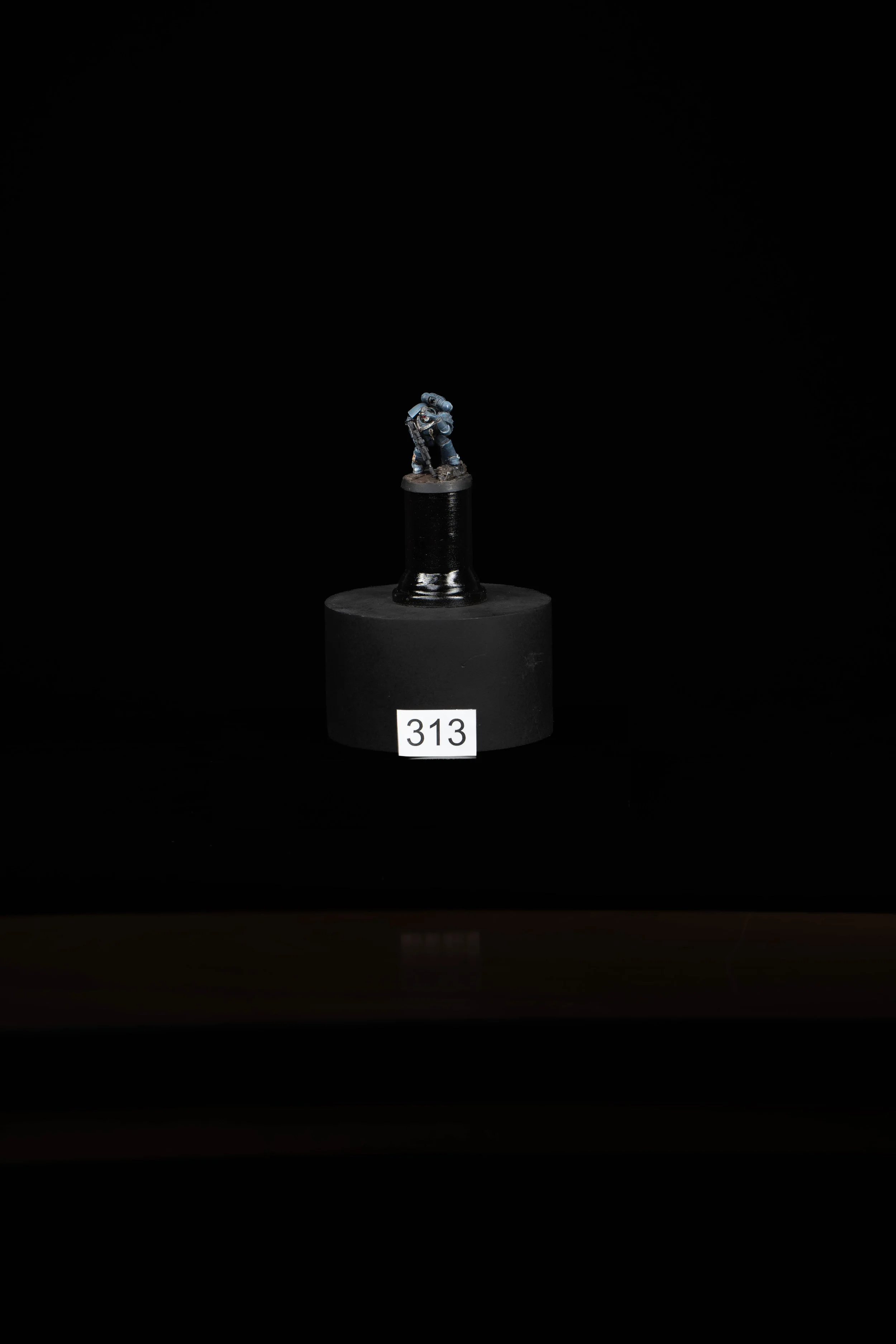 313.jpg