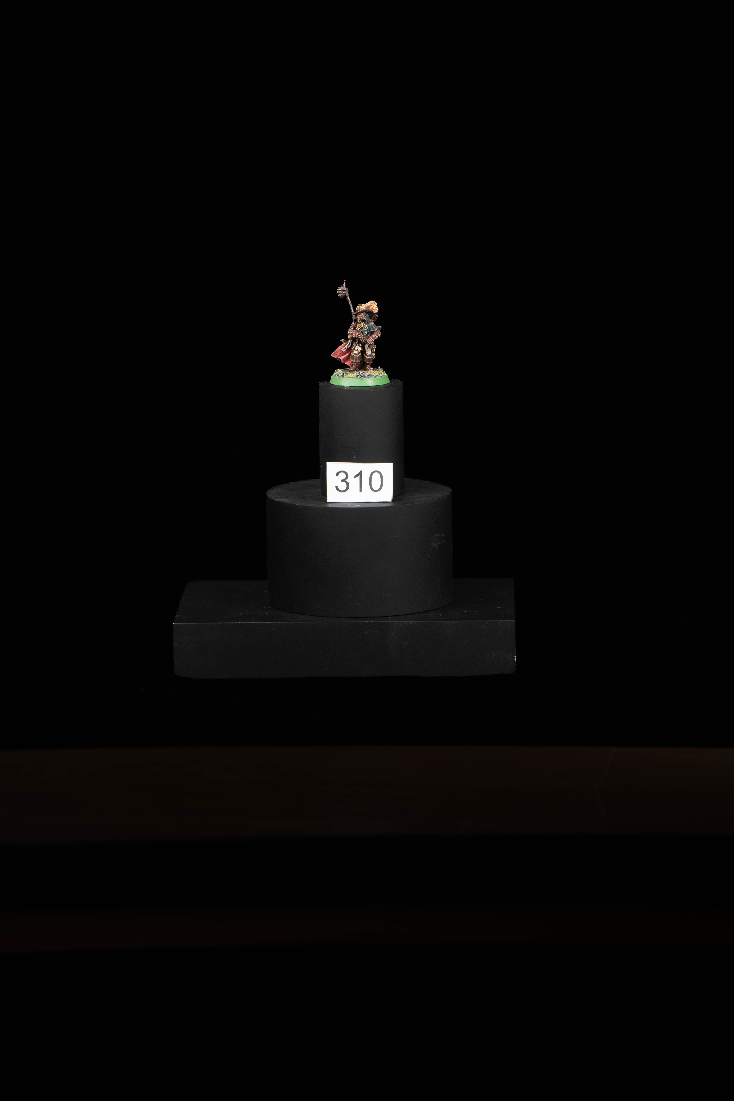 310.jpg