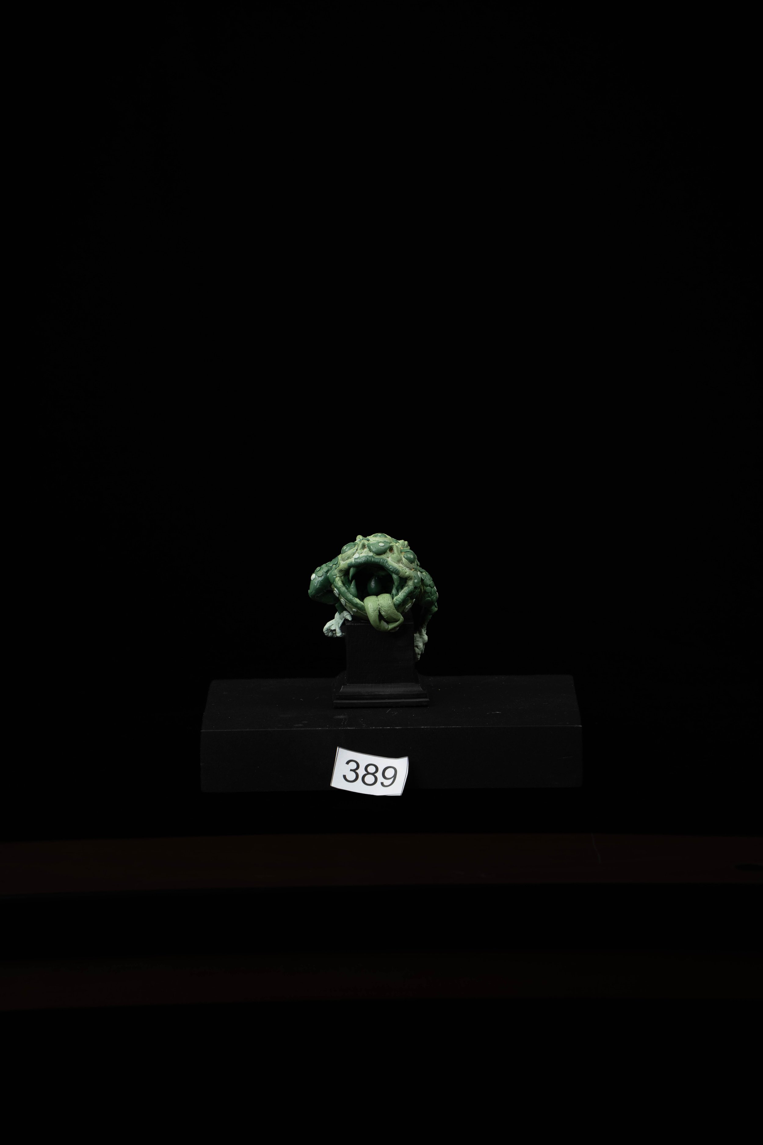 389.jpg