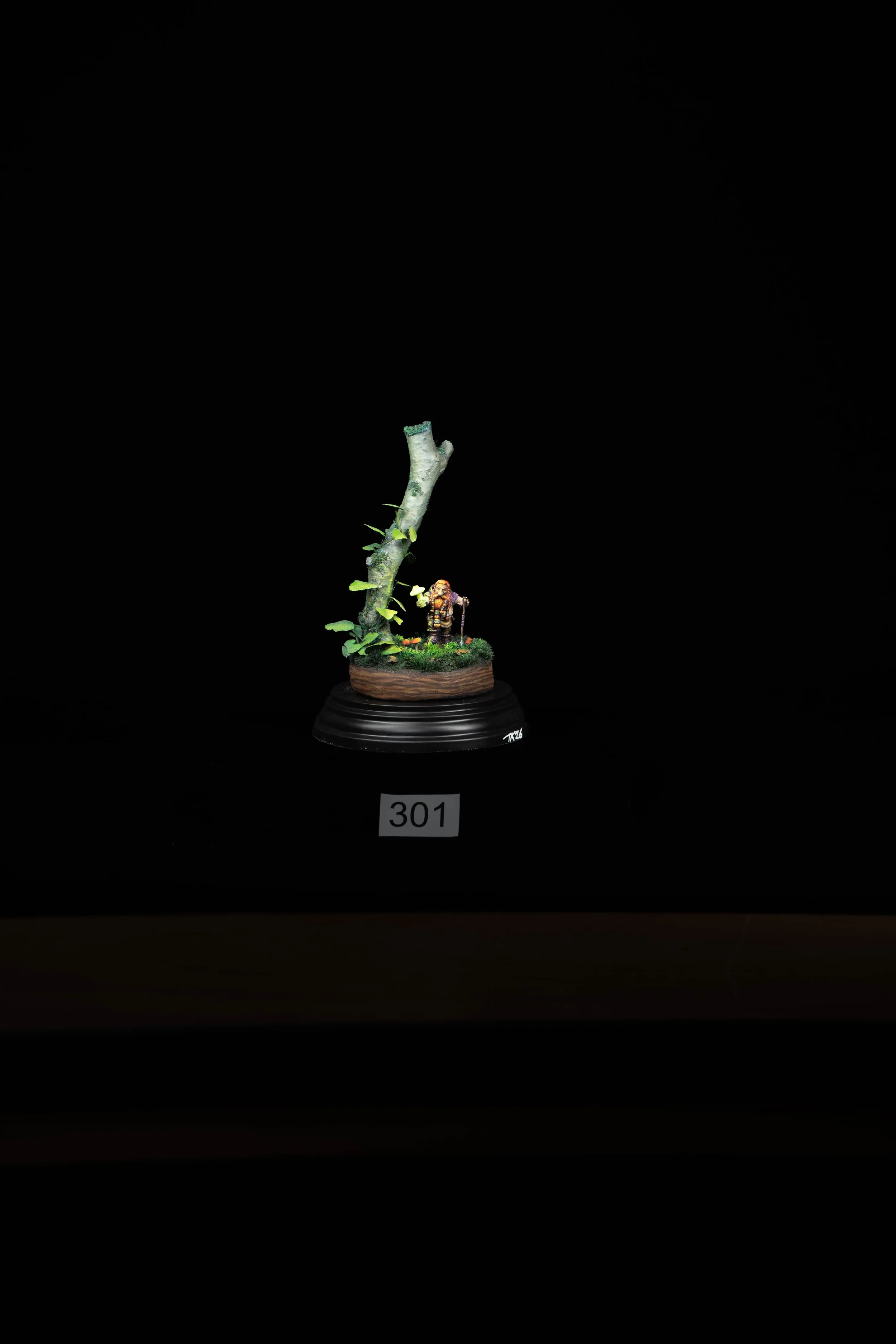 301.jpg
