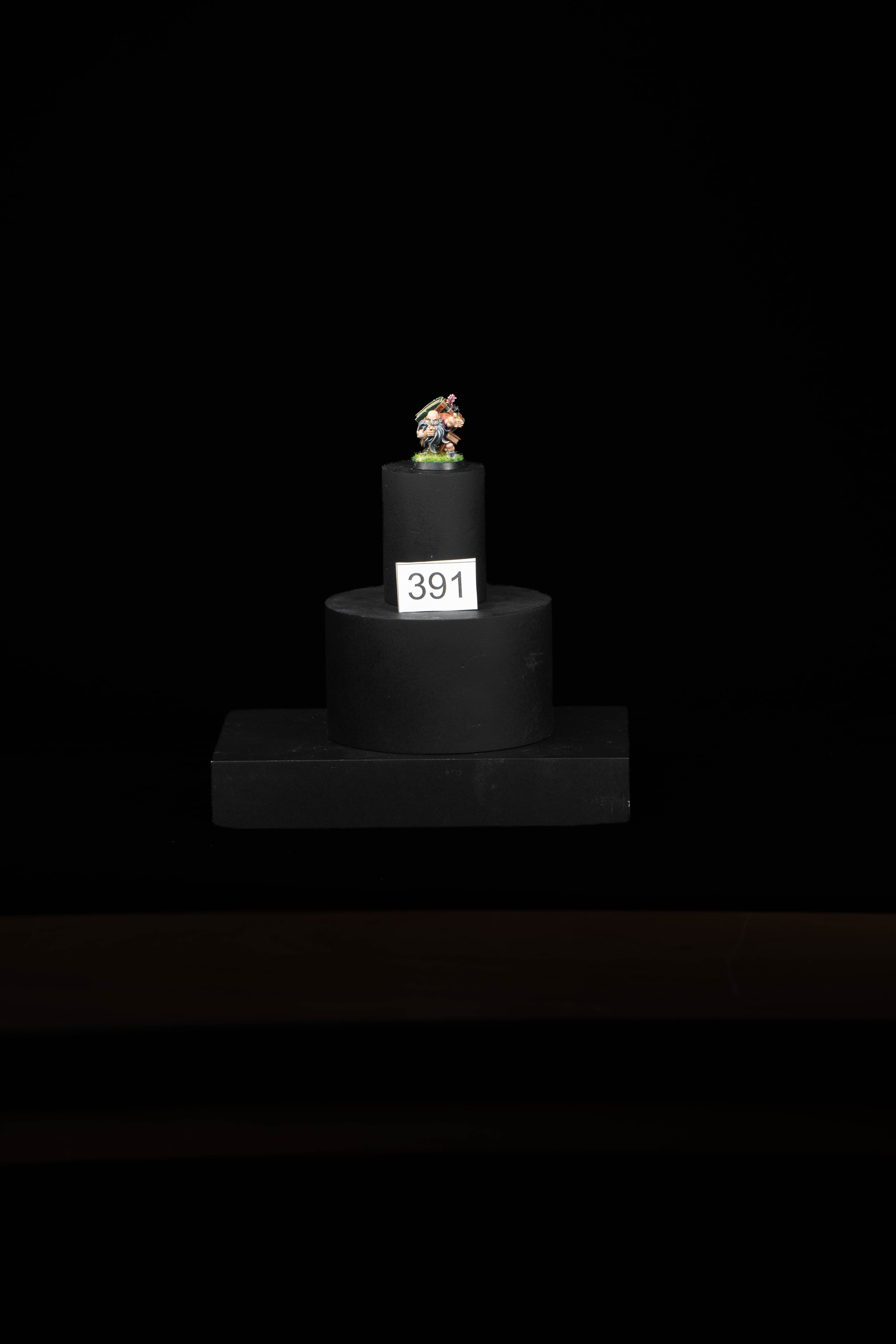 391.jpg