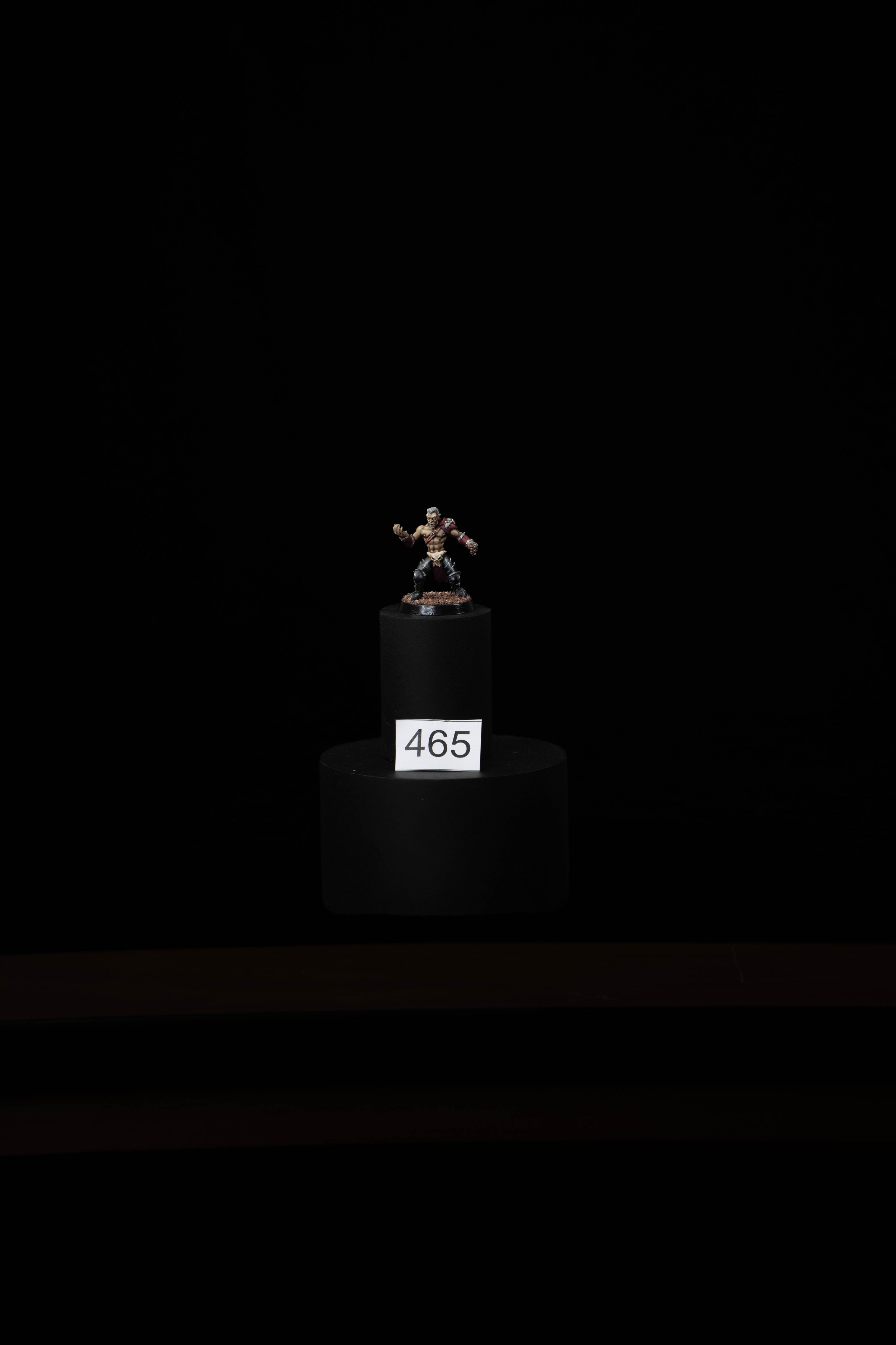 465.jpg