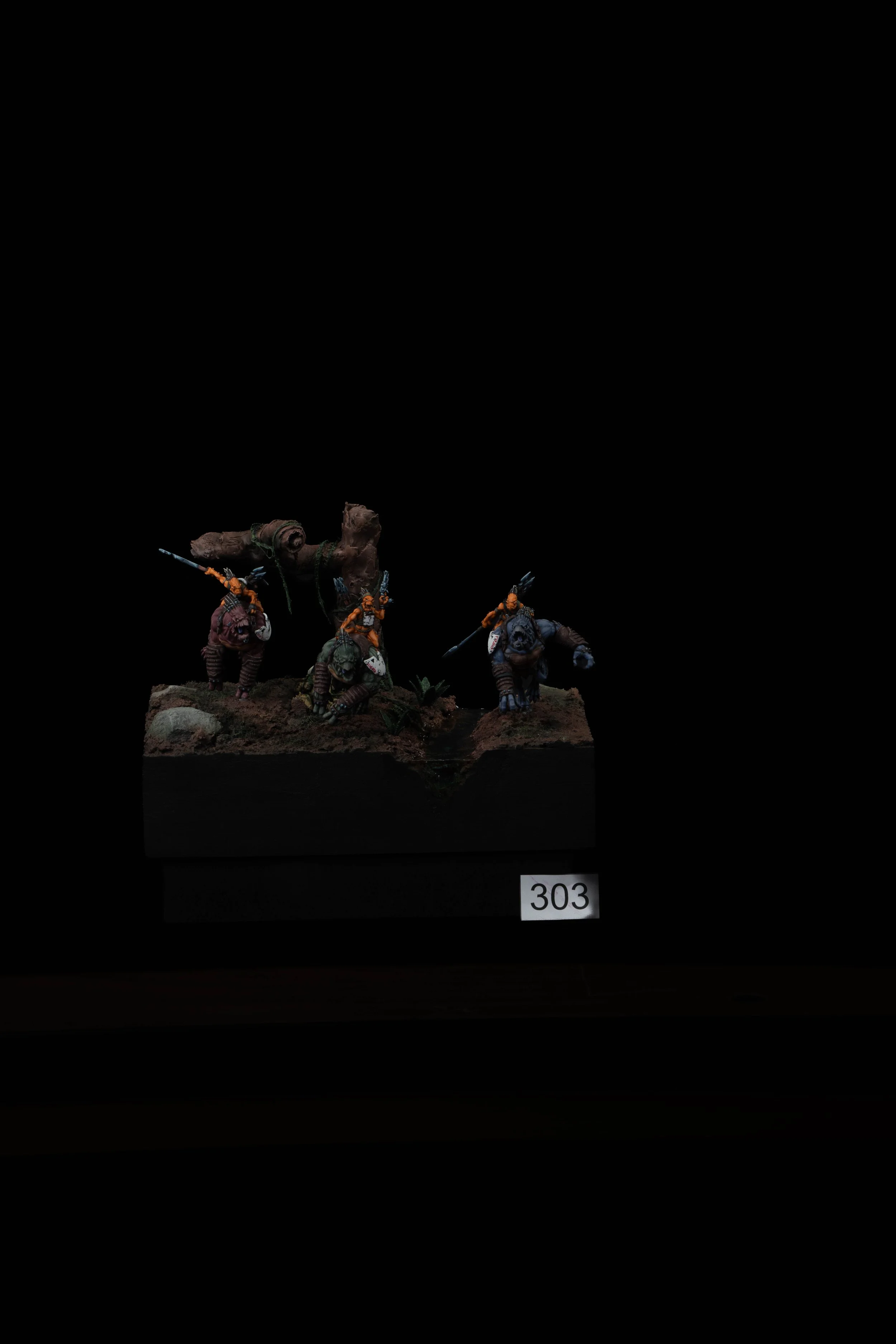 303.jpg