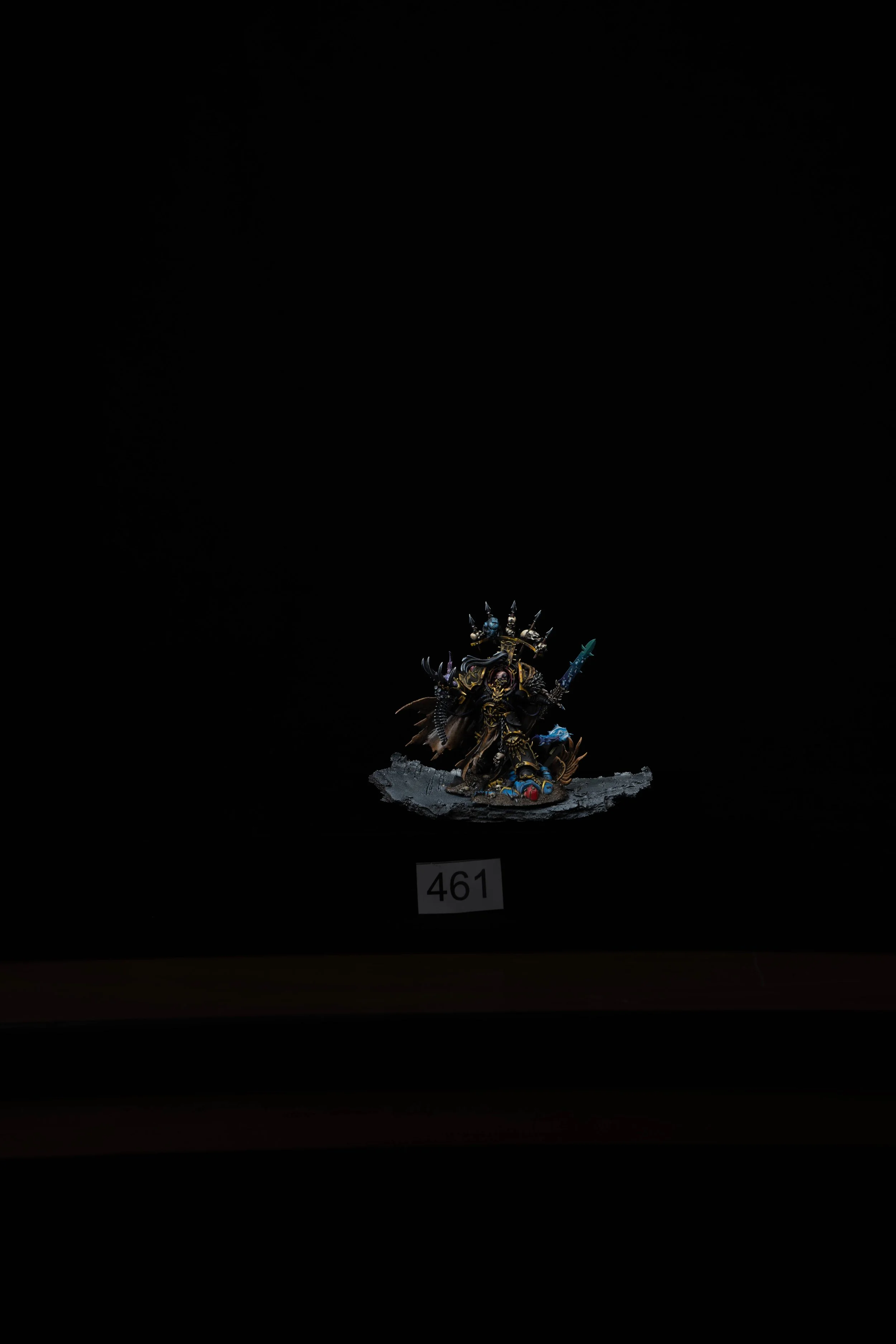 461.jpg