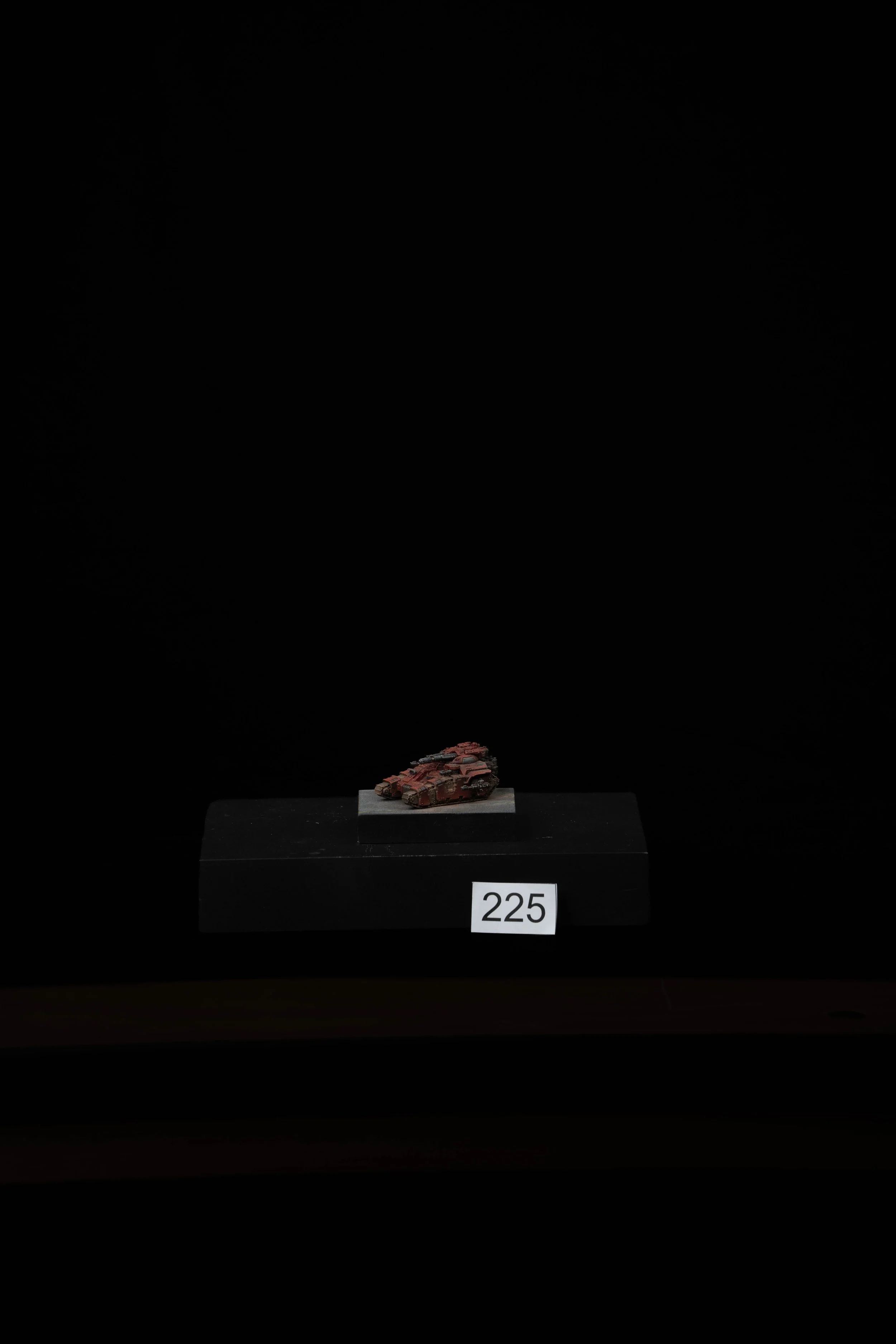 225.jpg