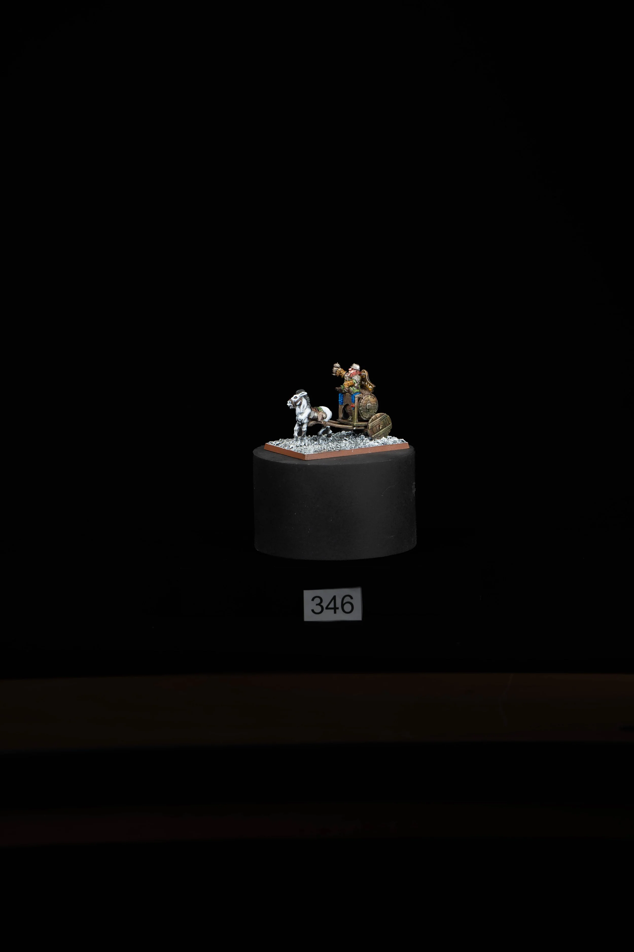 346.jpg