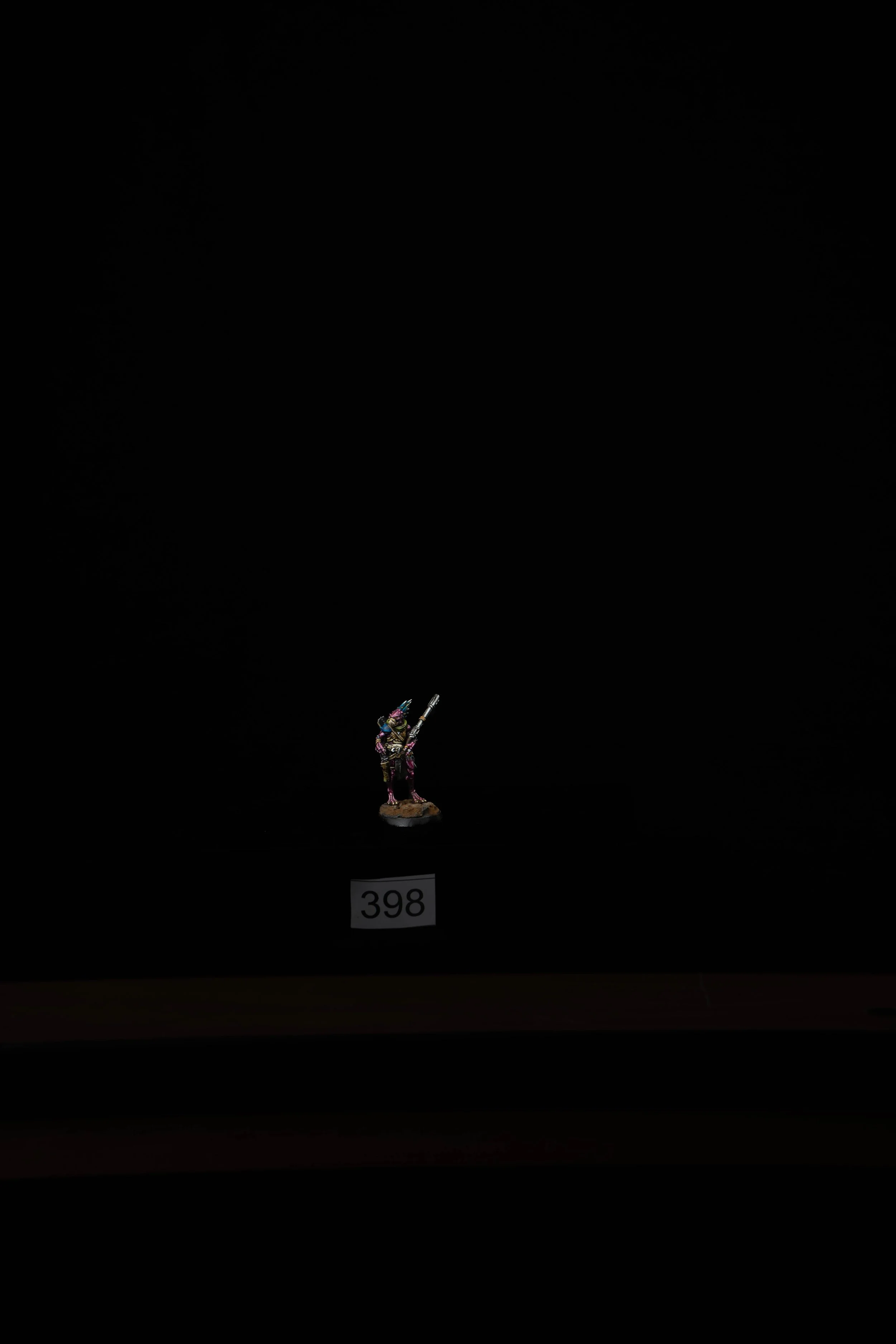398.jpg