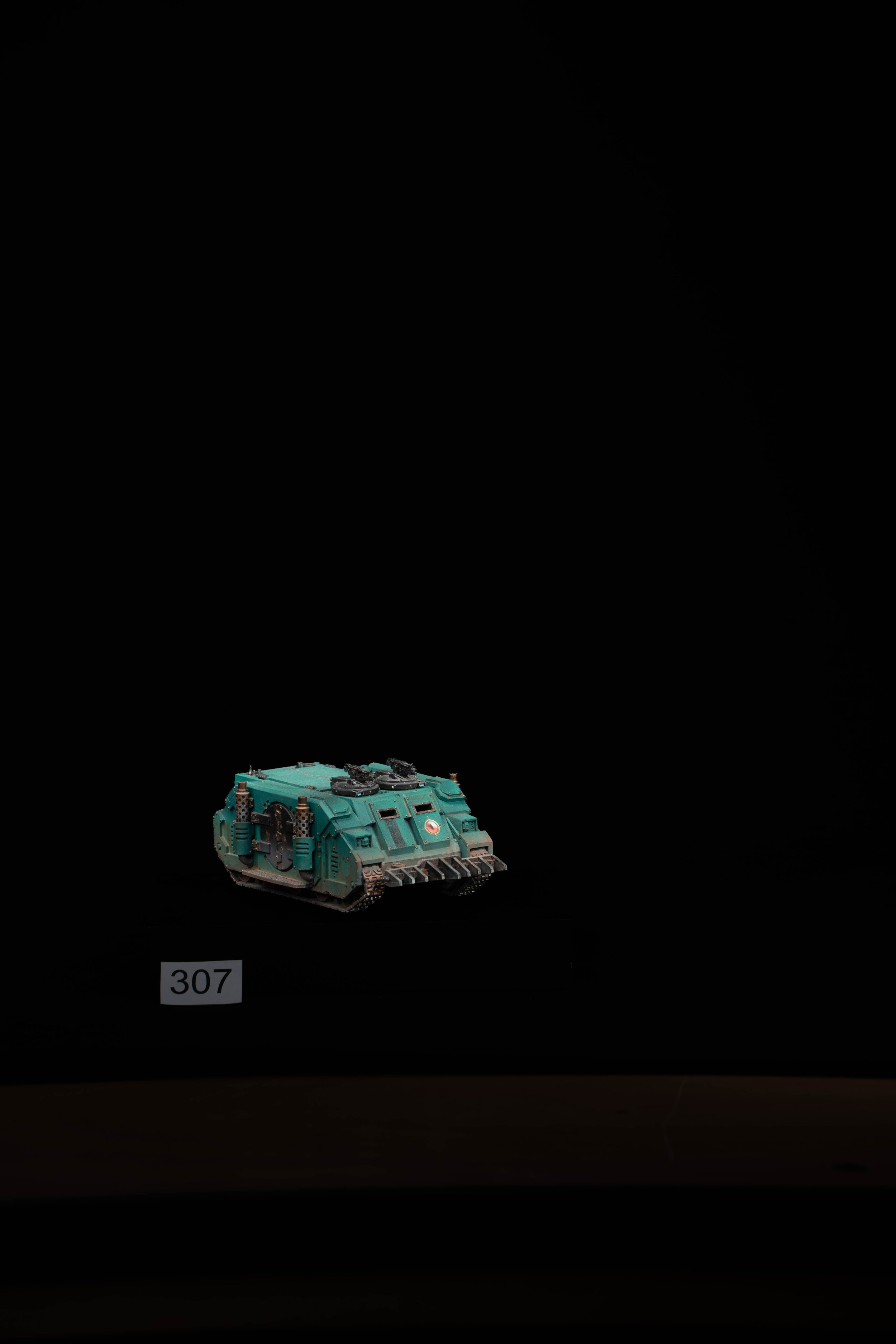 307.jpg