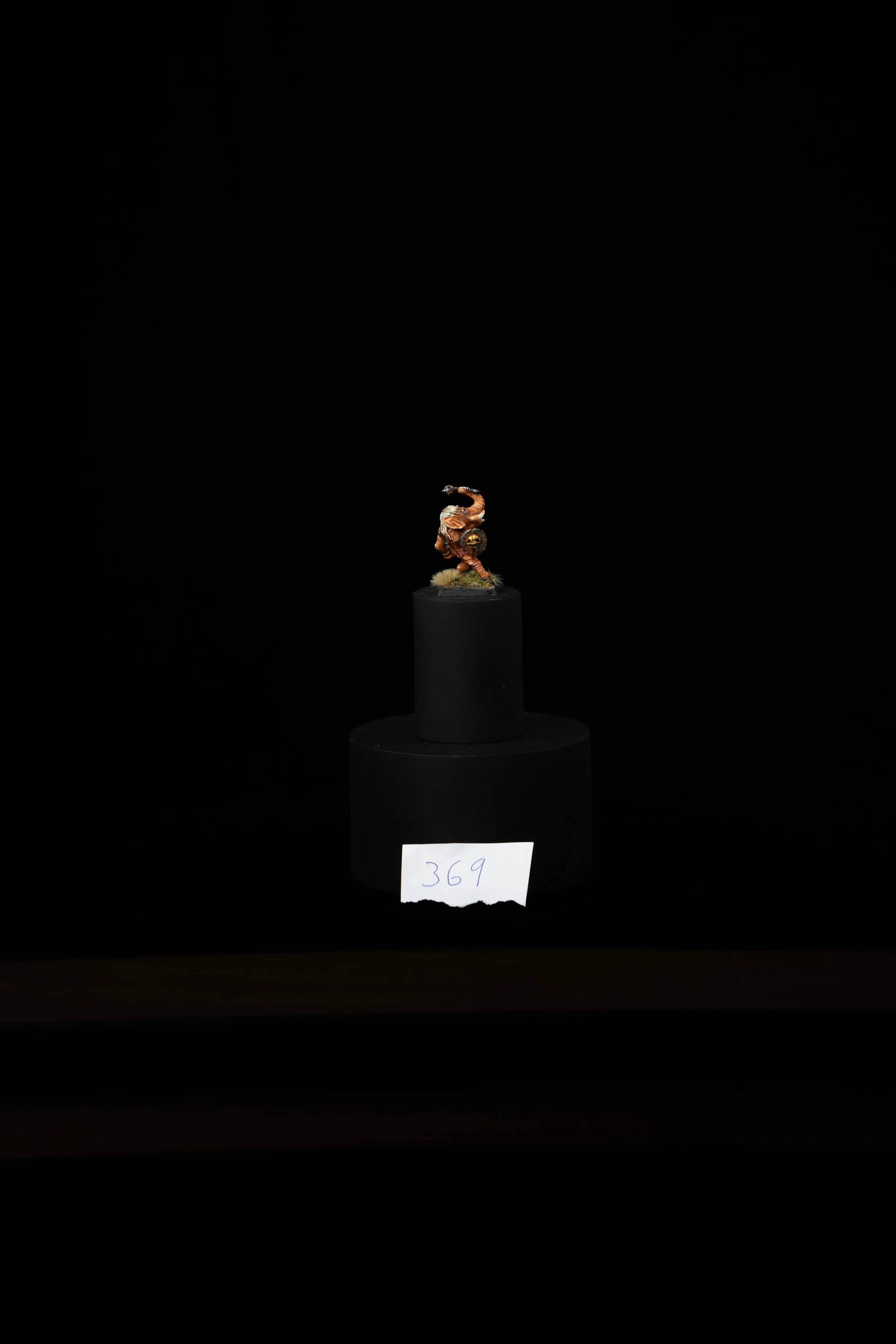 369.jpg