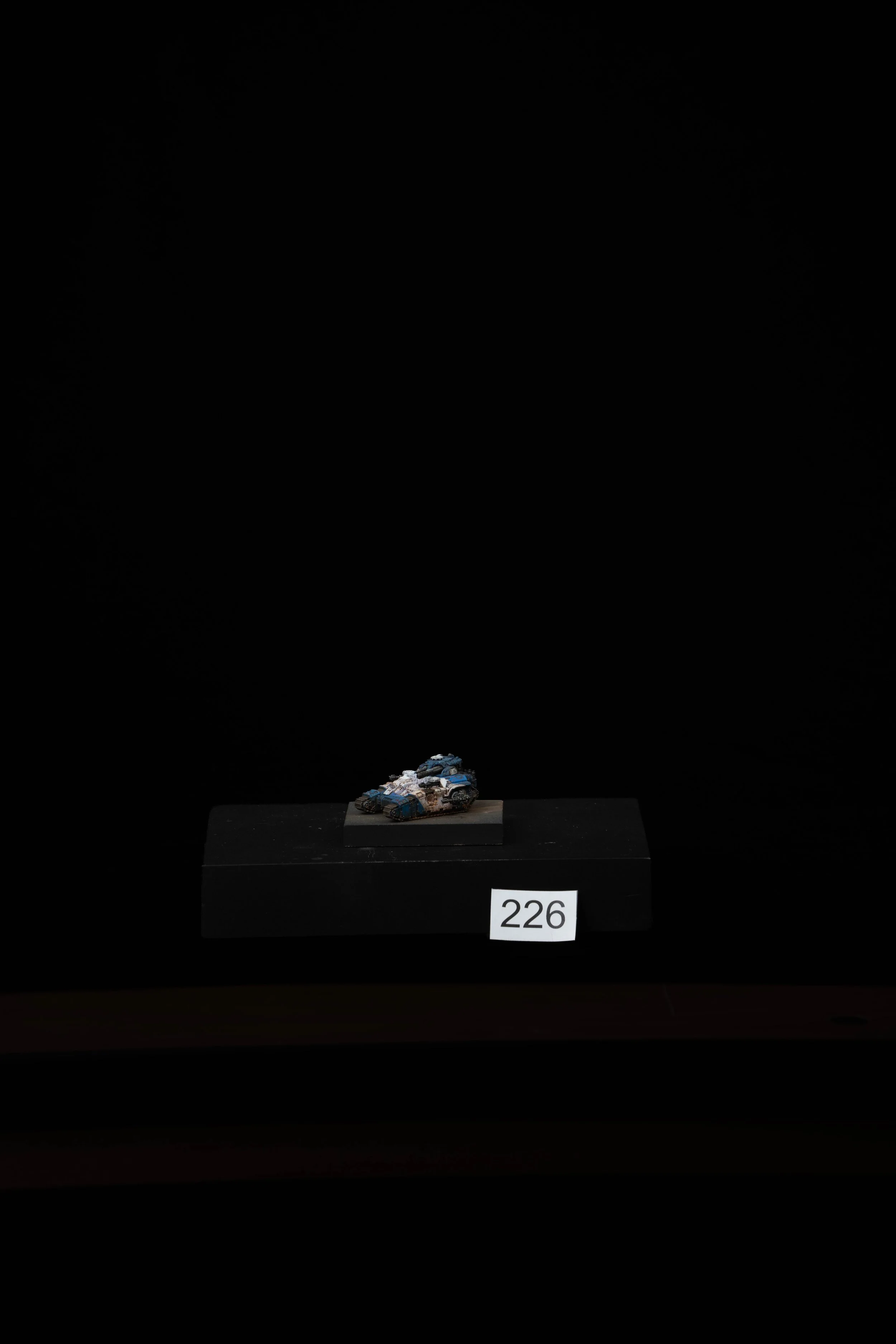 226.jpg