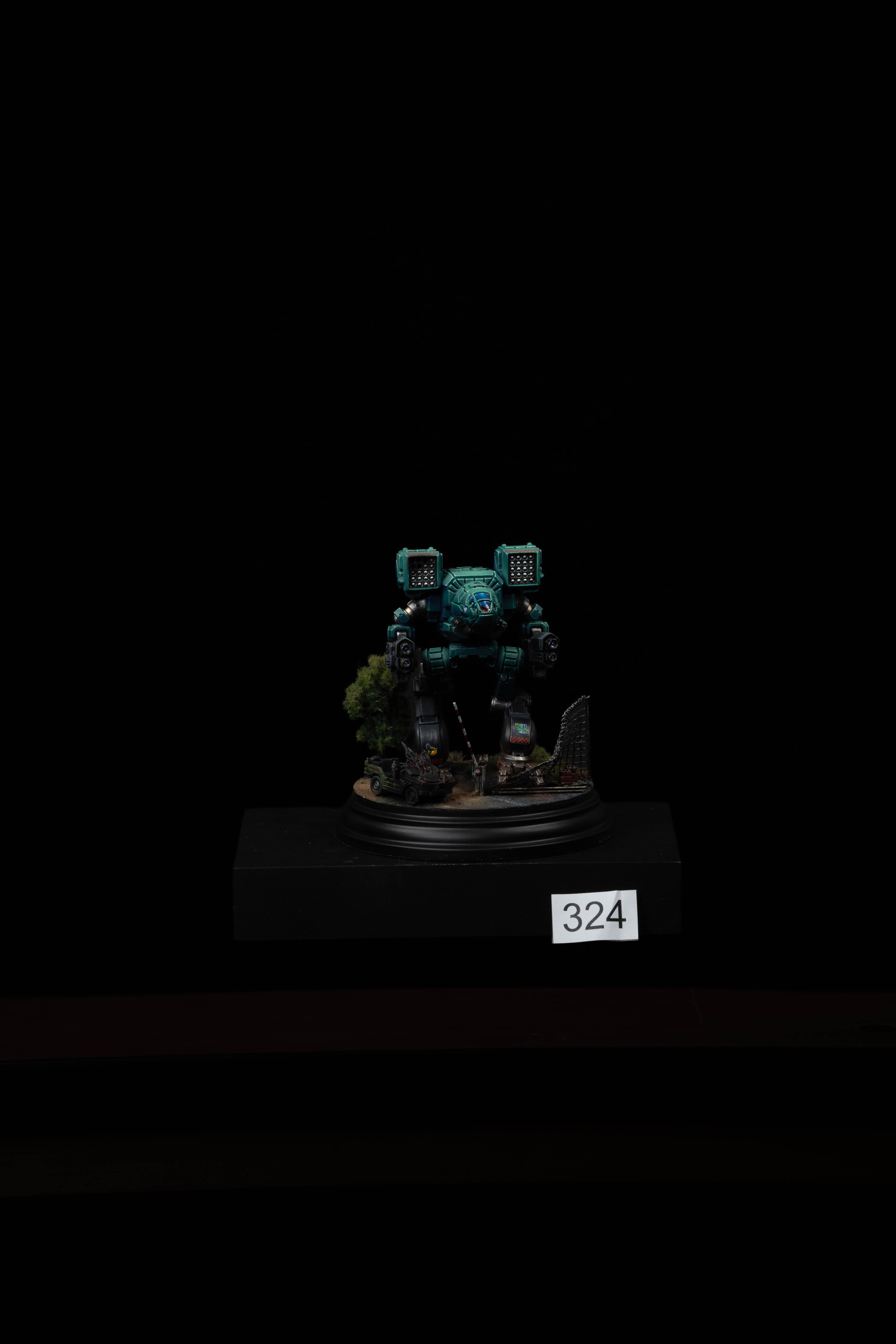 324.jpg