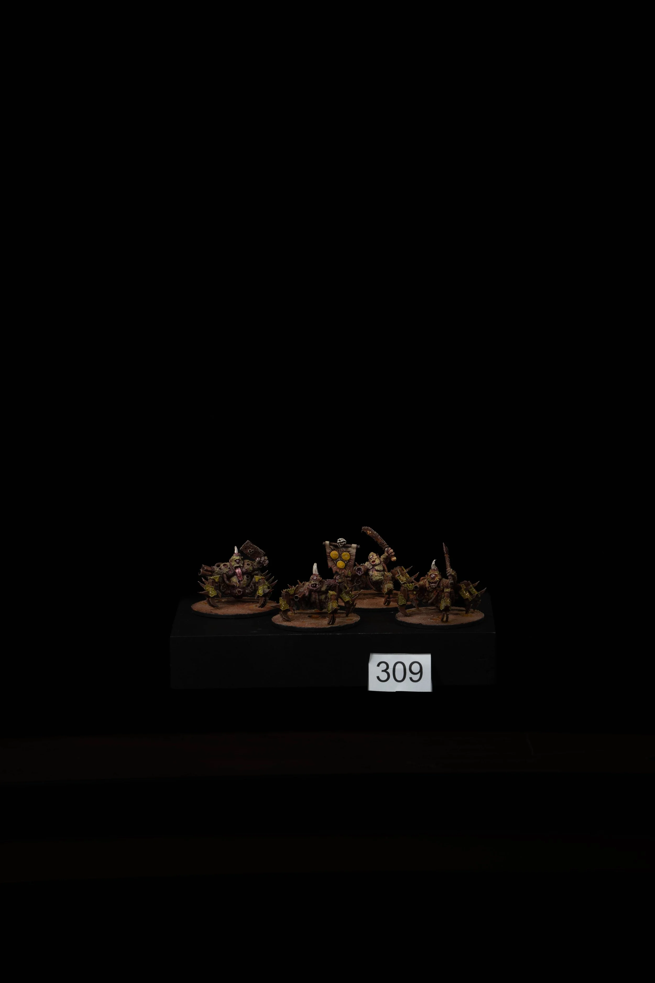 309.jpg