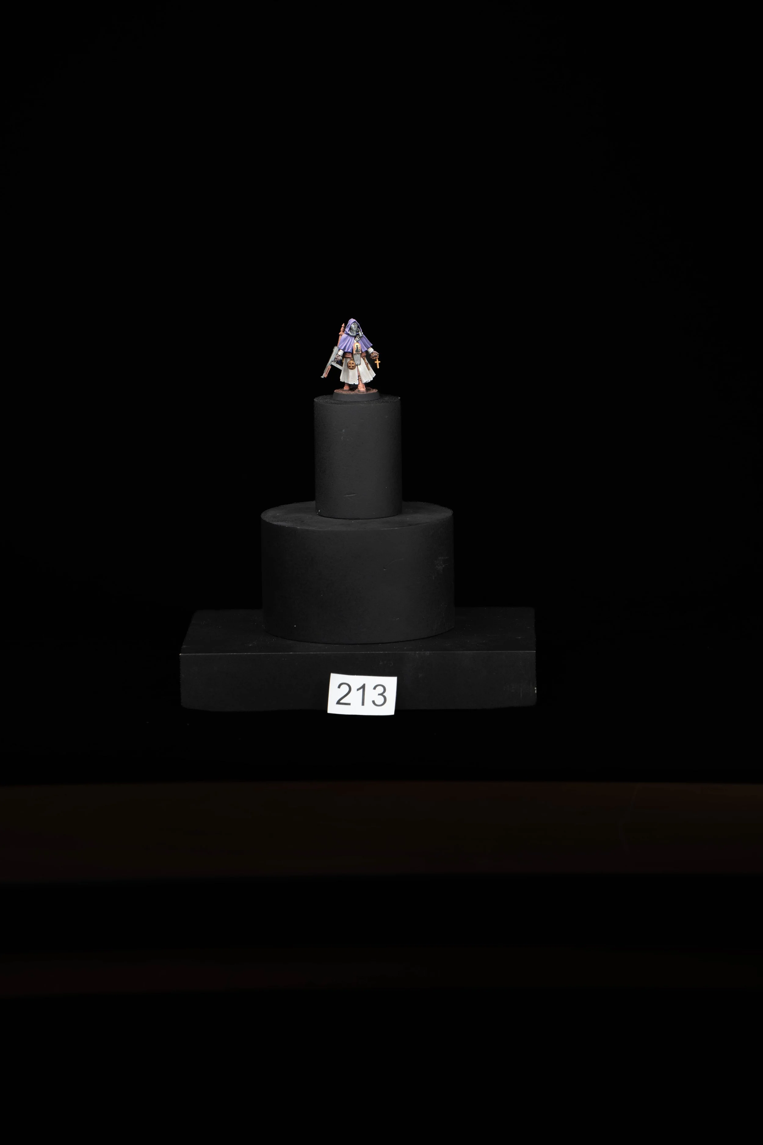 213.jpg
