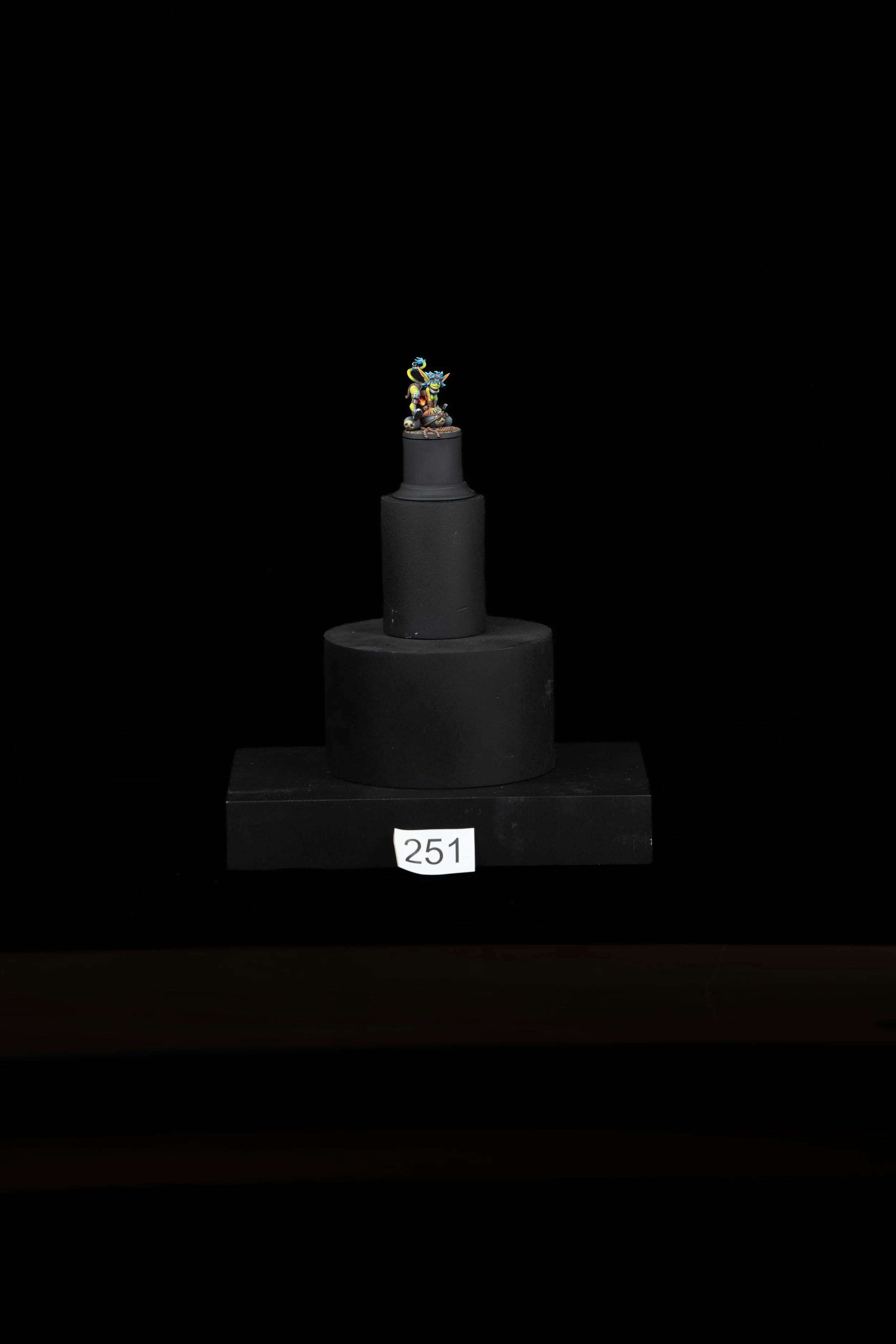 251.jpg