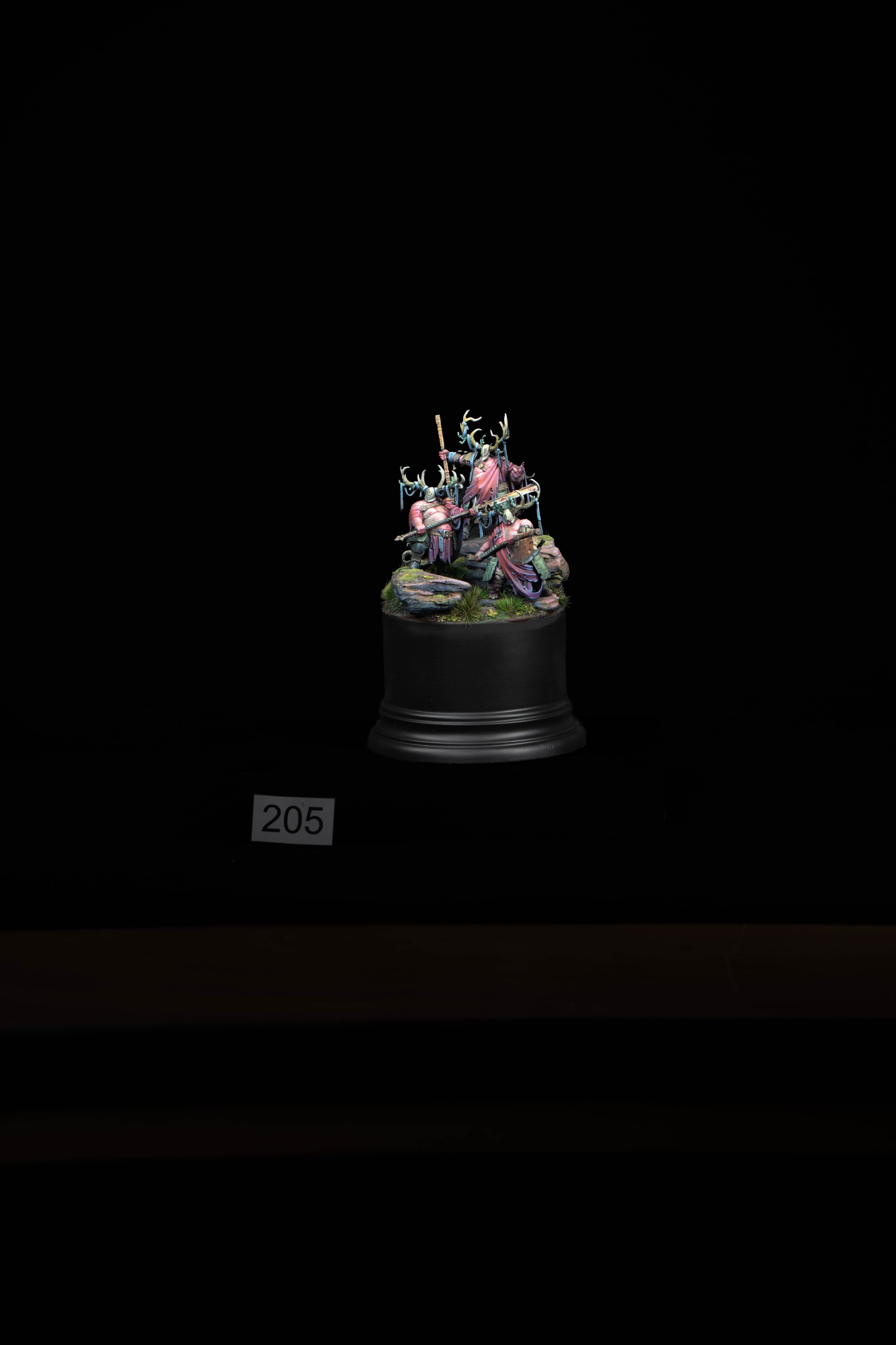 205.jpg