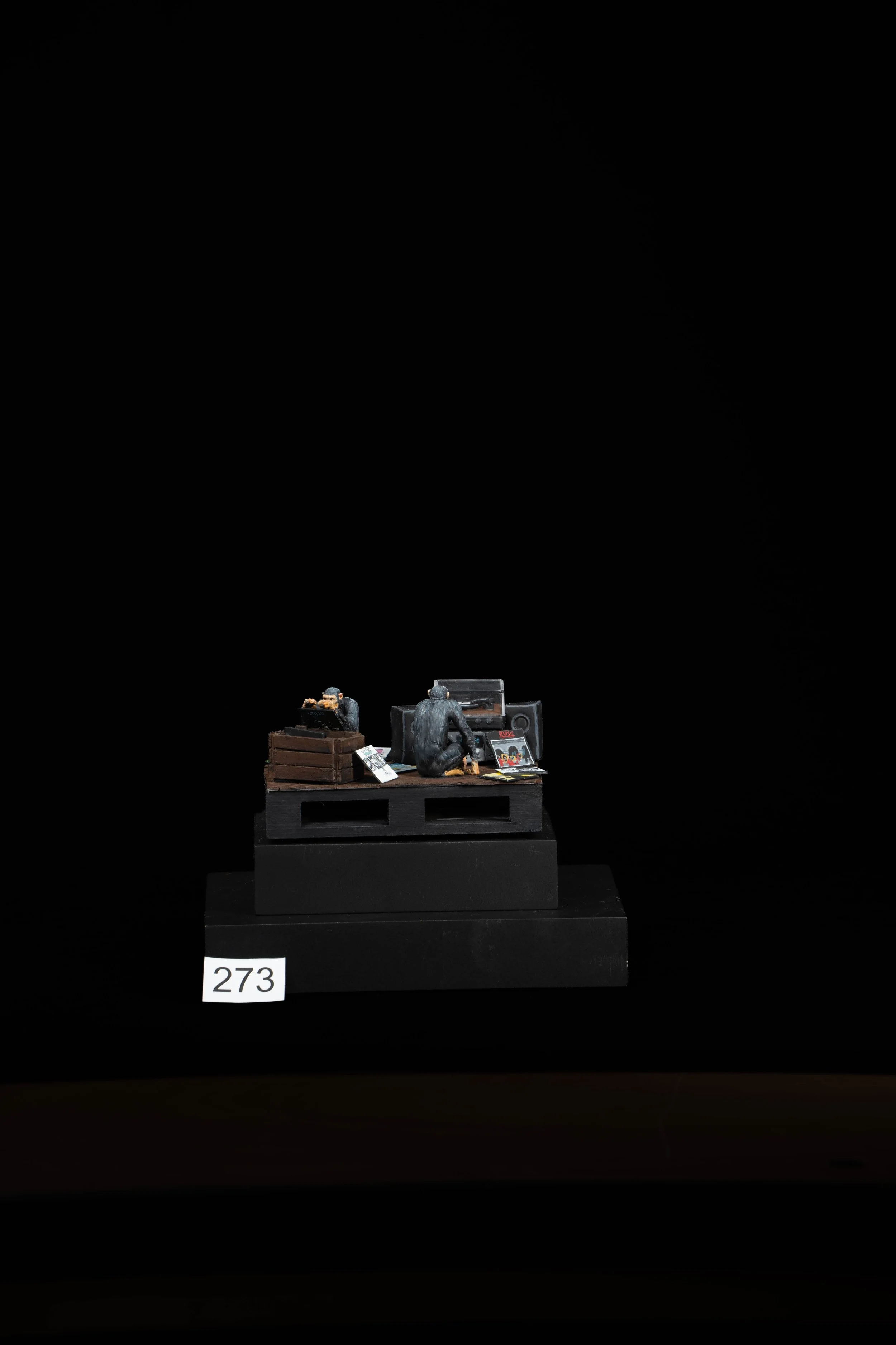 273.jpg
