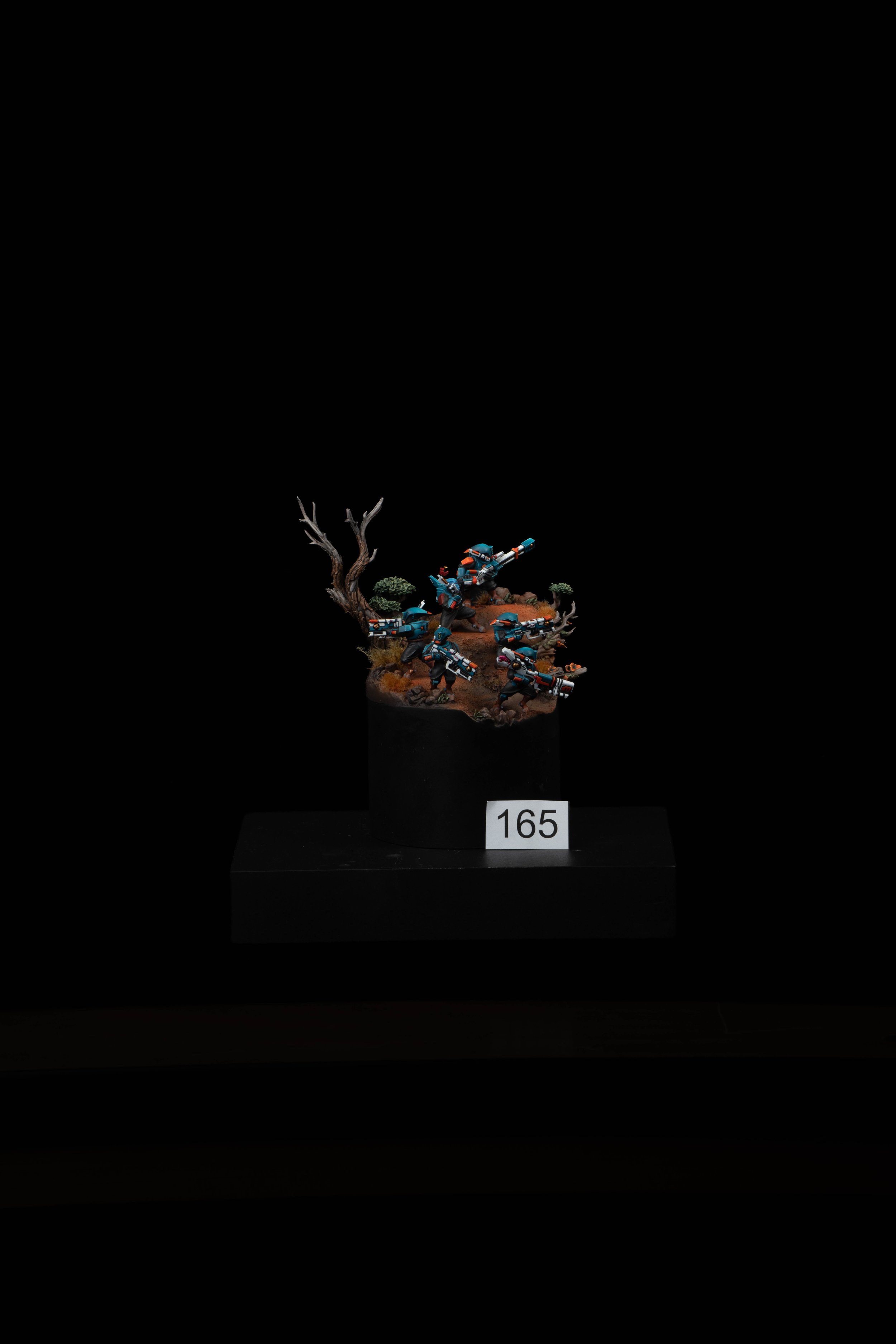 165.jpg
