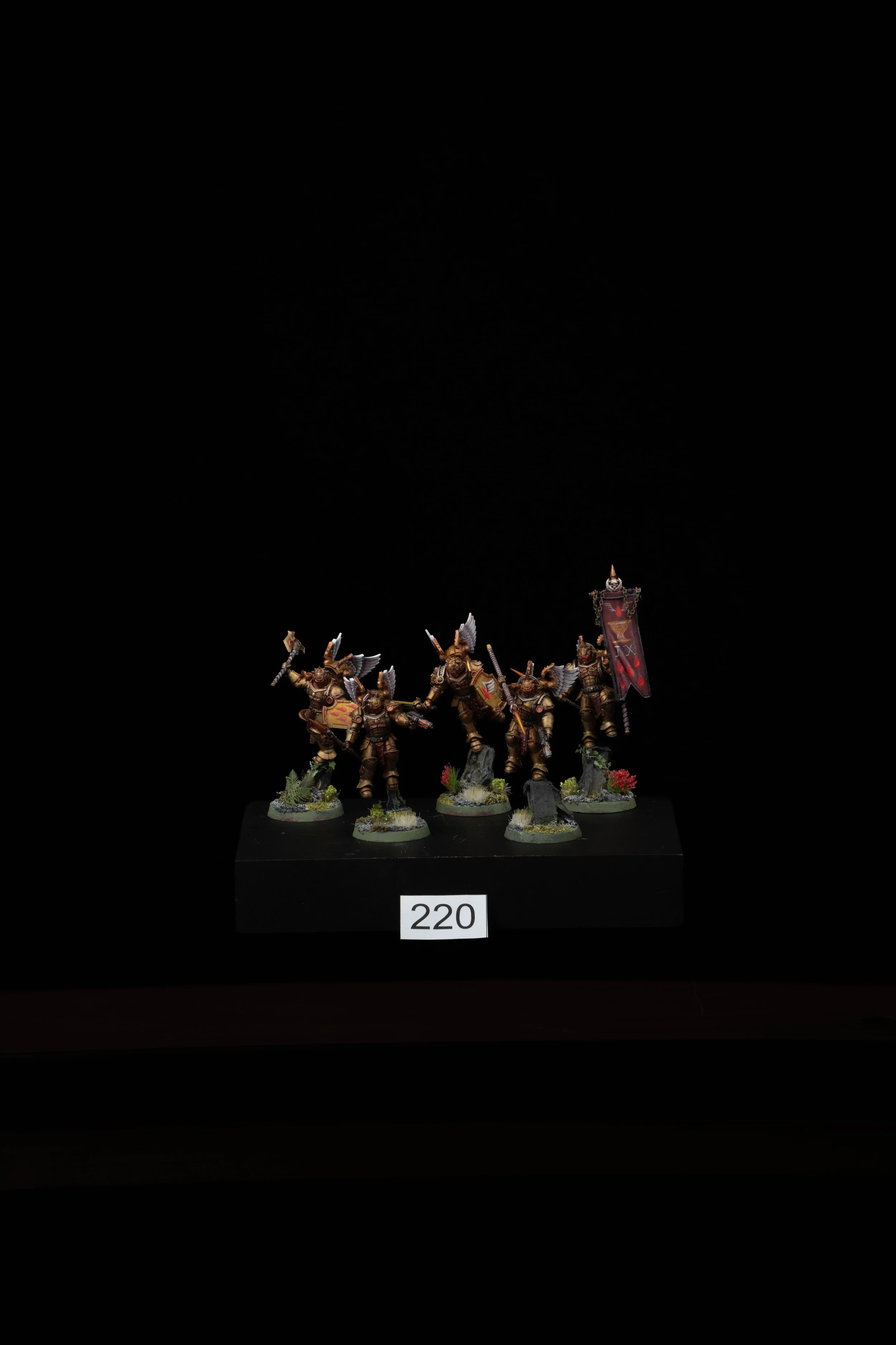 220.jpg