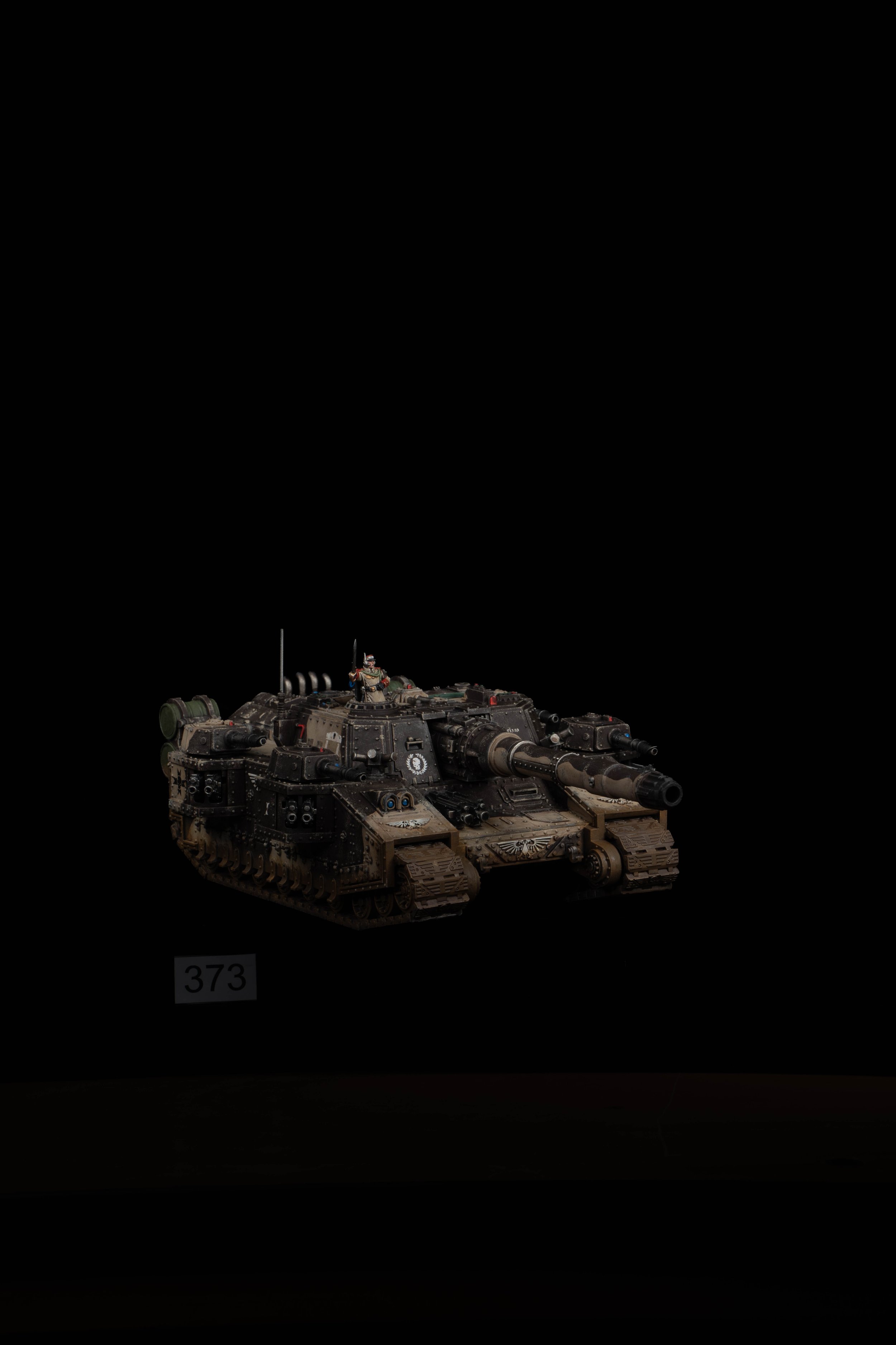 373.jpg