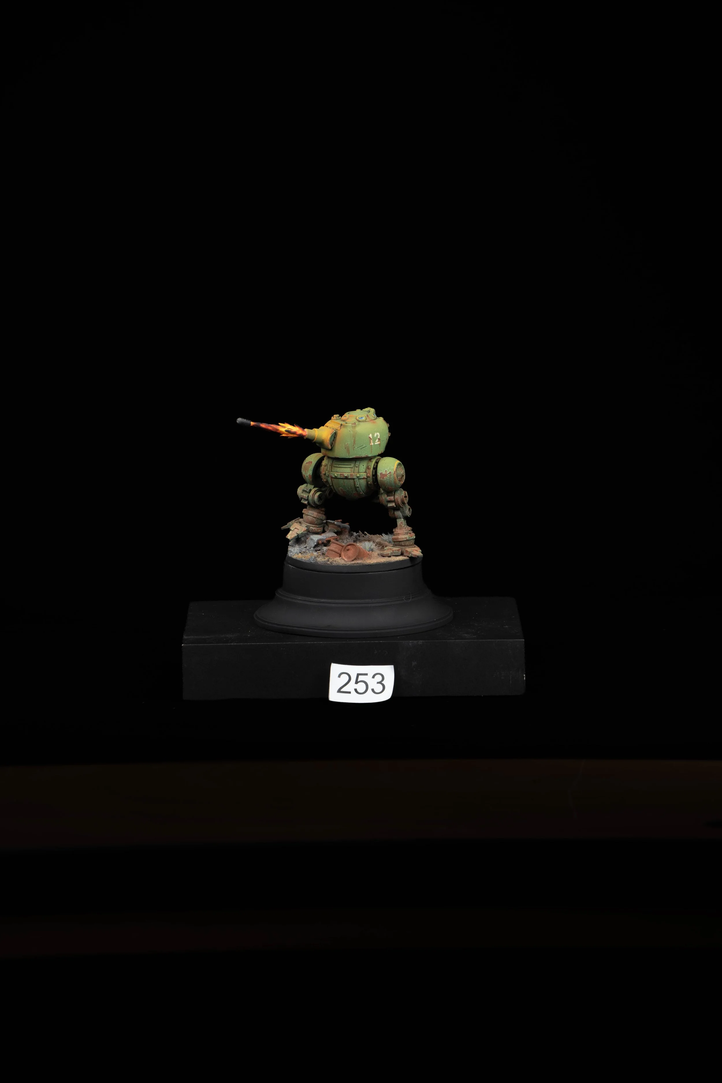 253.jpg