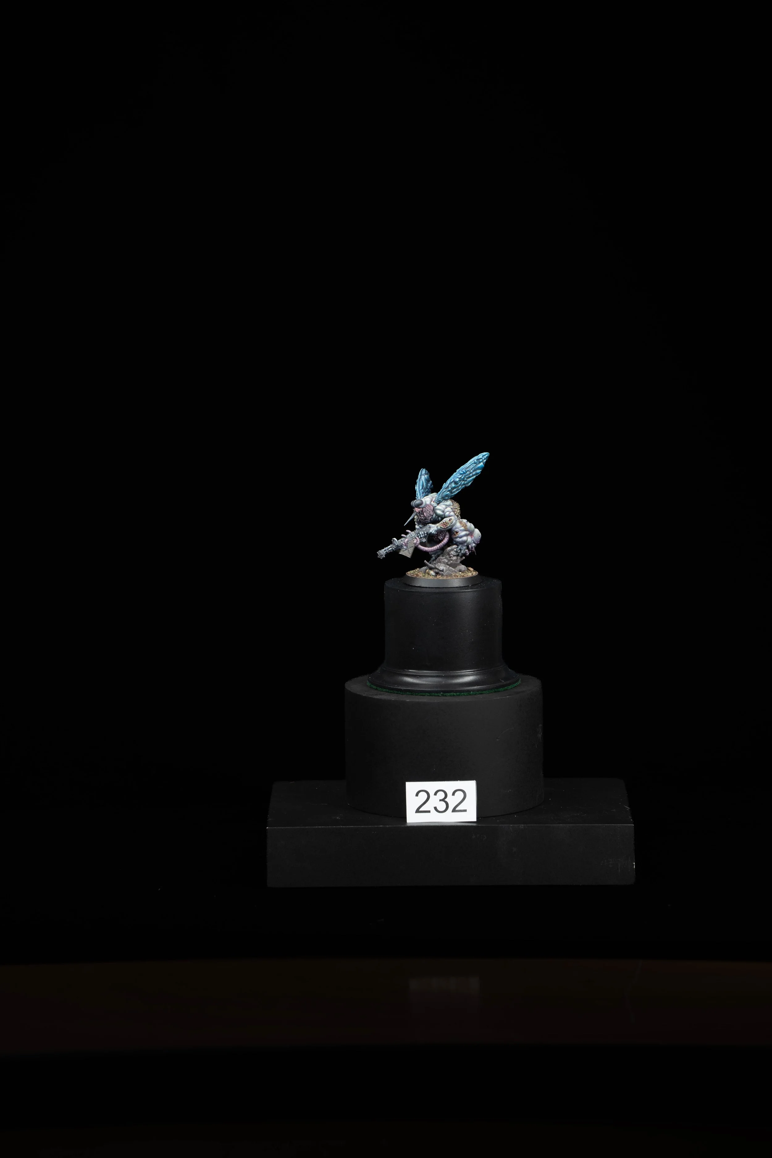 232.jpg