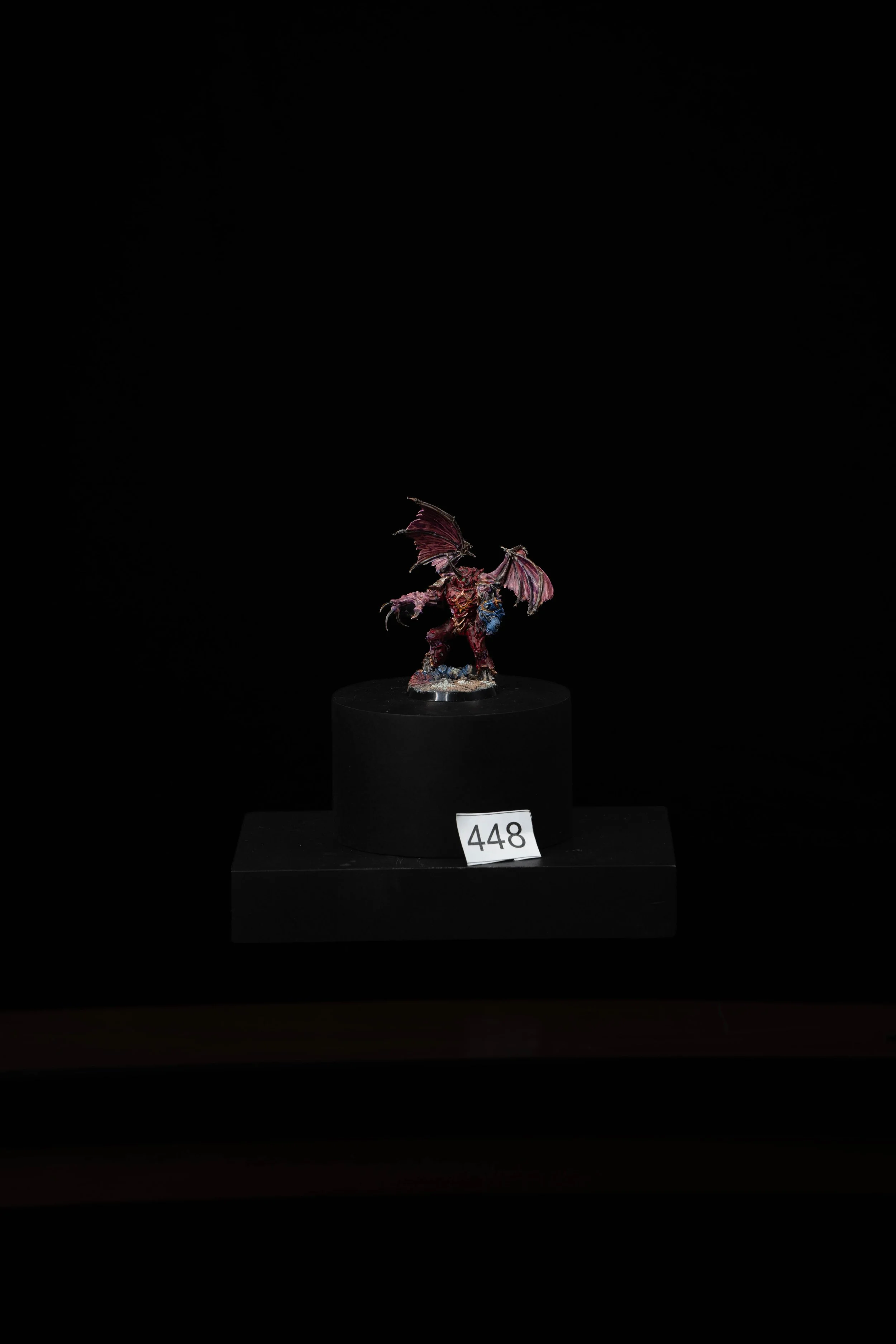 448.jpg