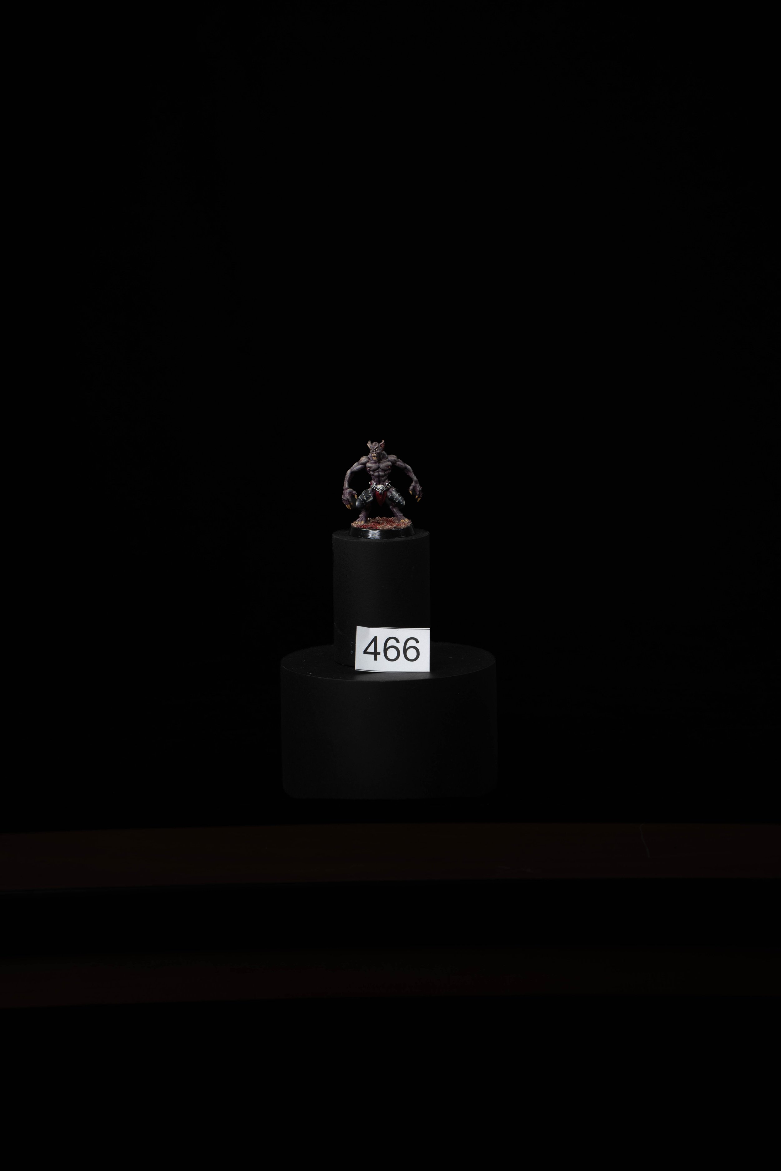 466.jpg