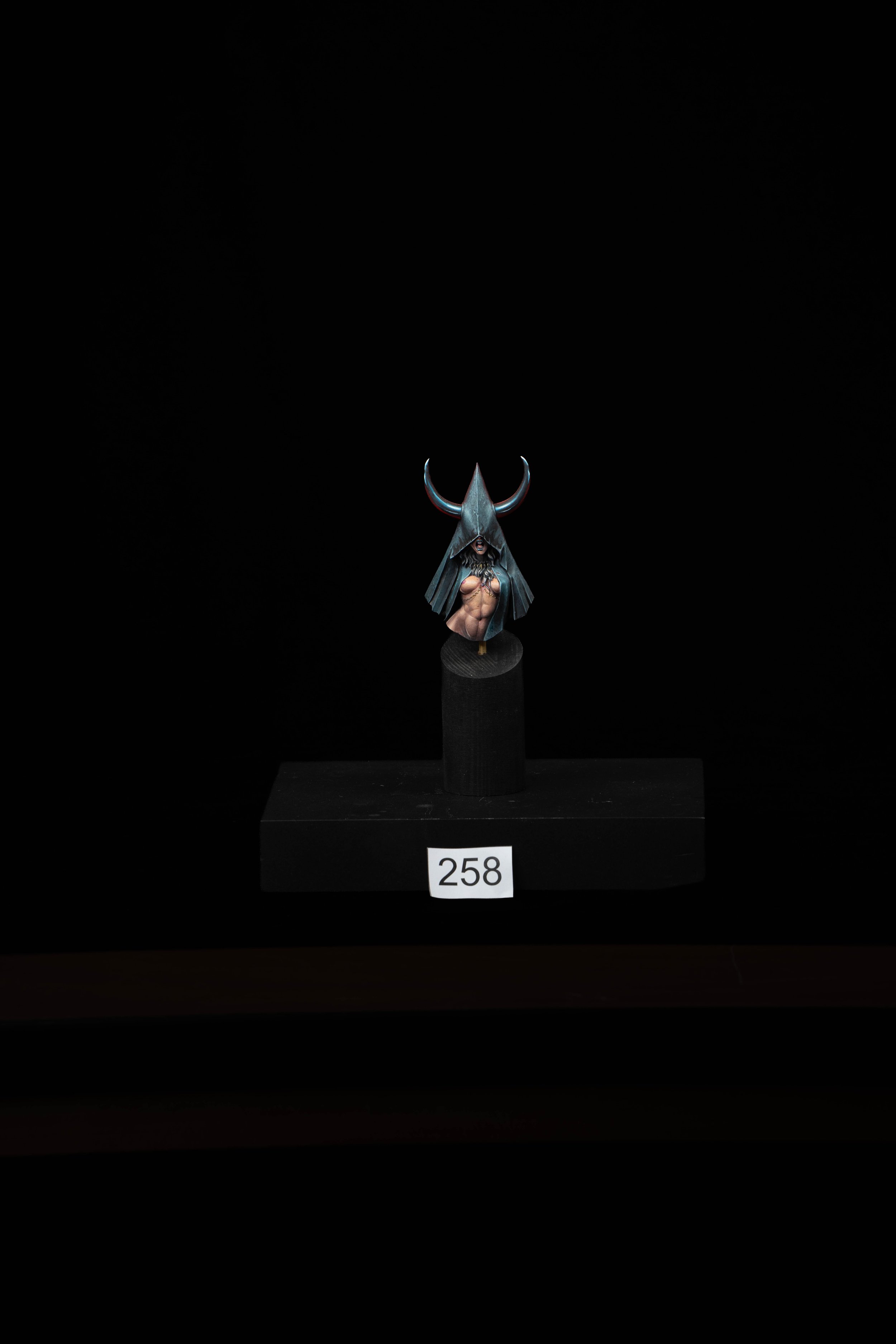258.jpg