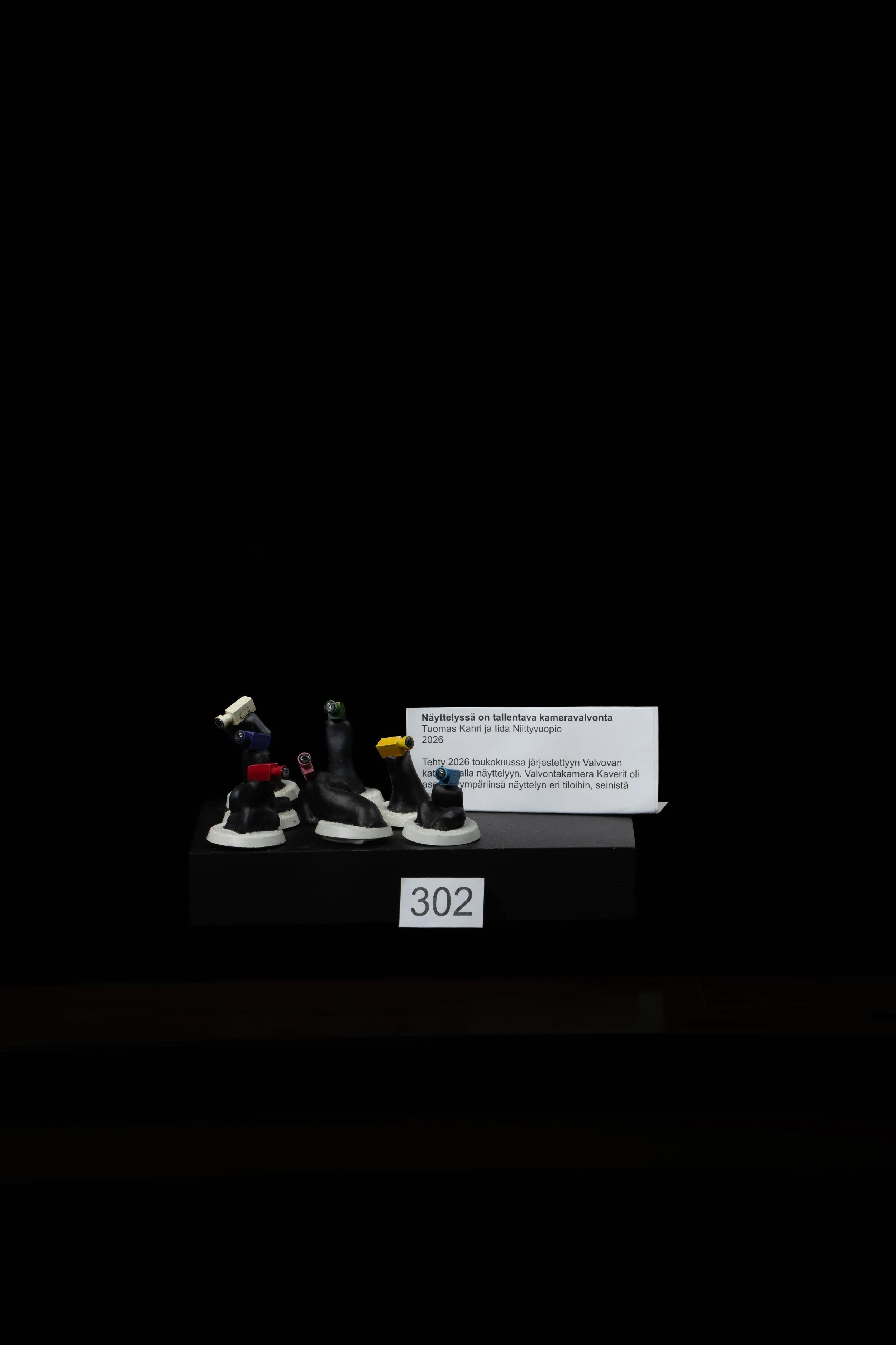 302.jpg