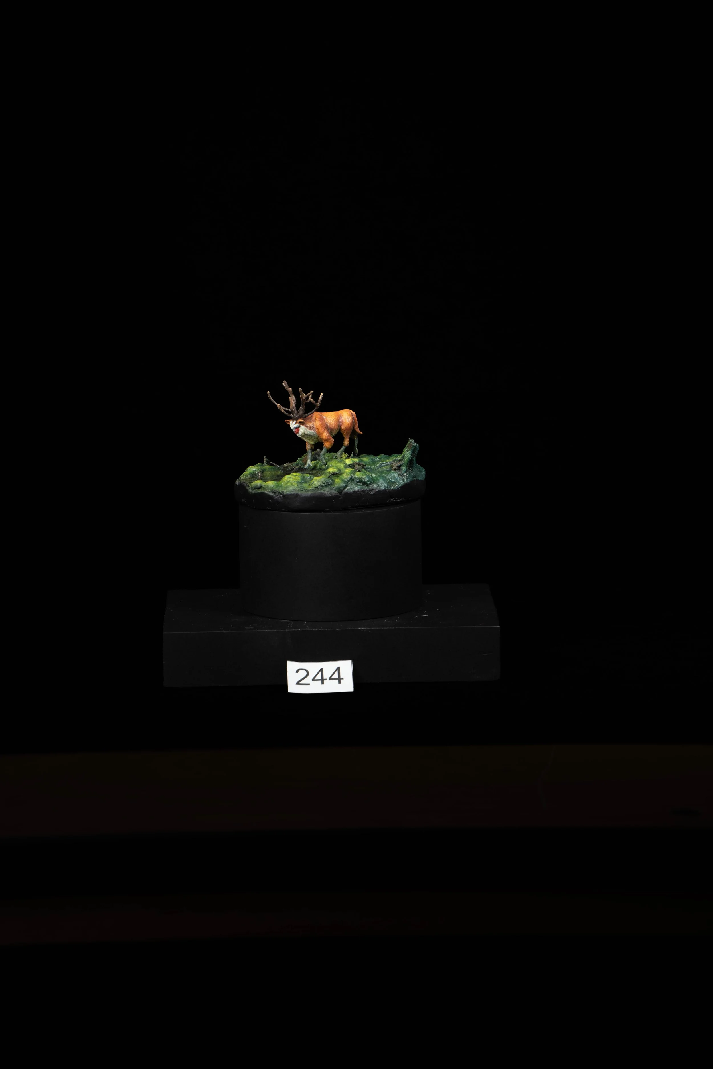 244.jpg