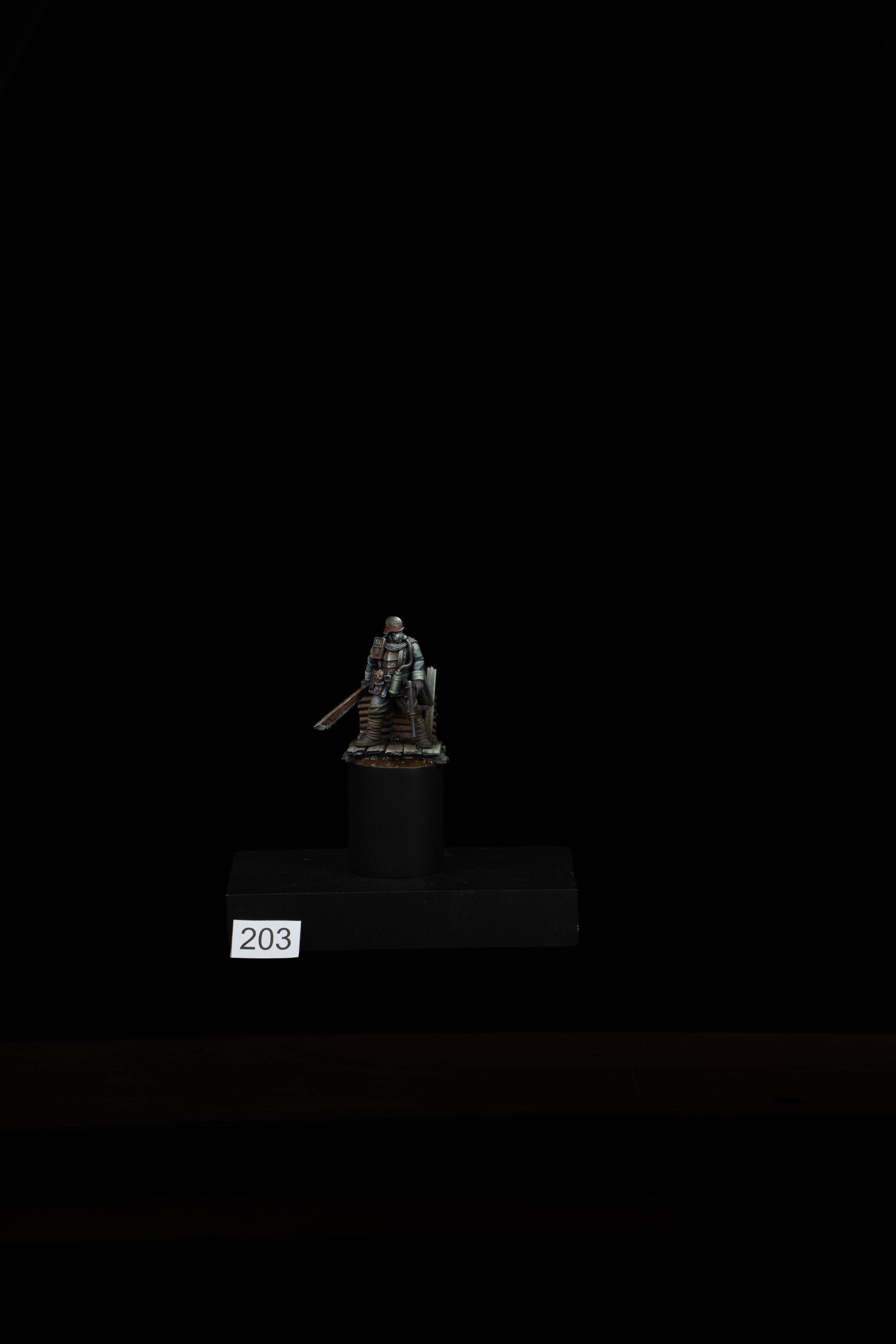 203.jpg
