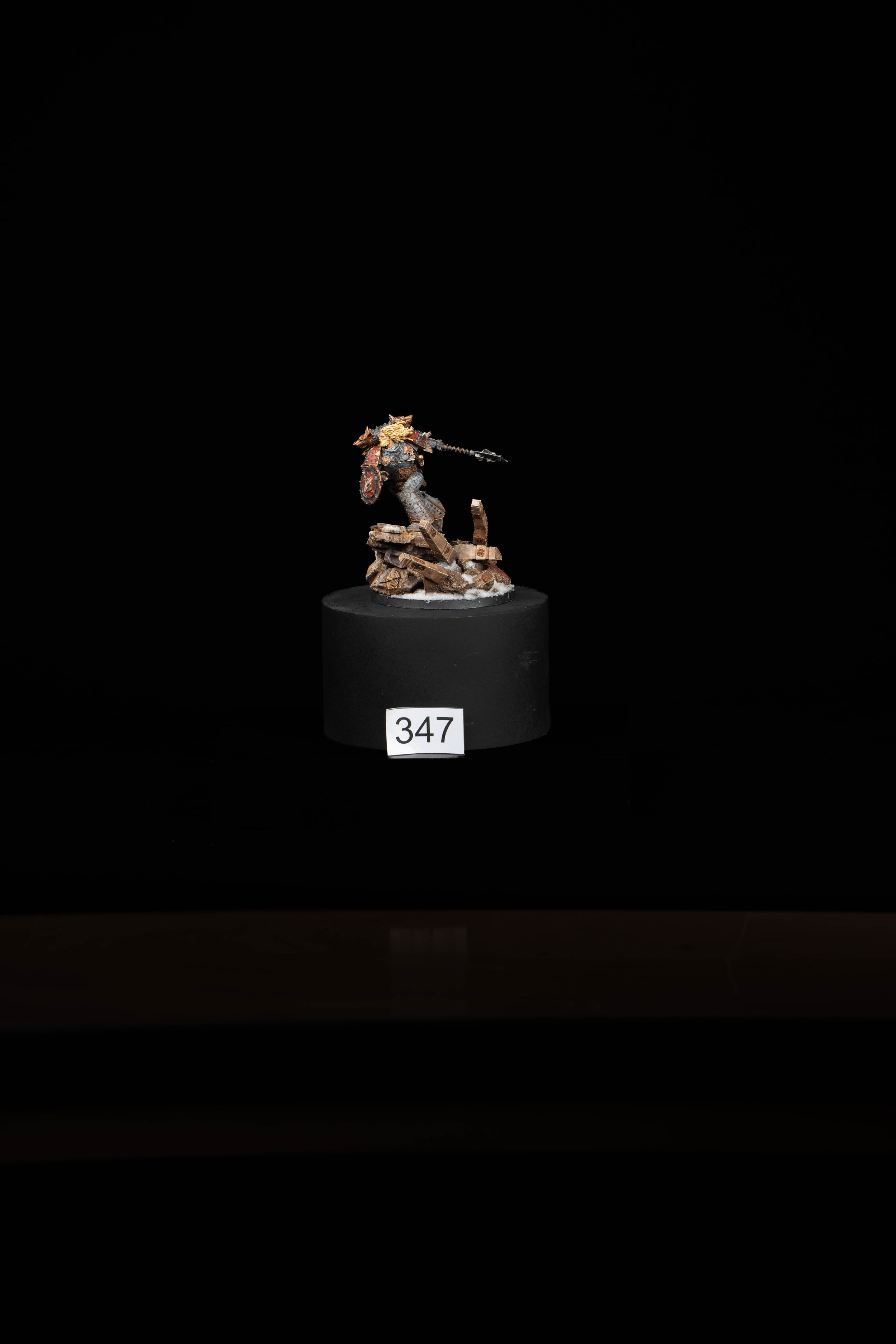 347.jpg