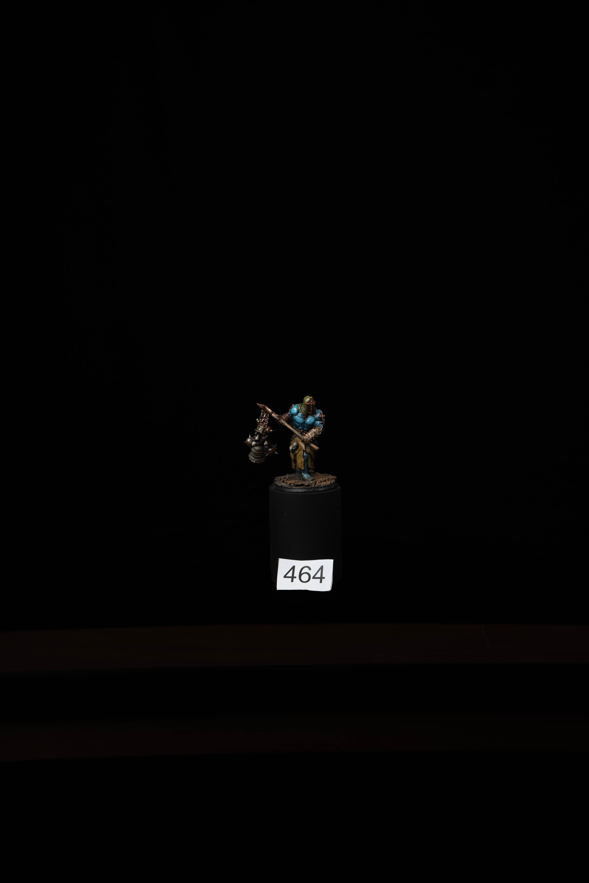 464.jpg