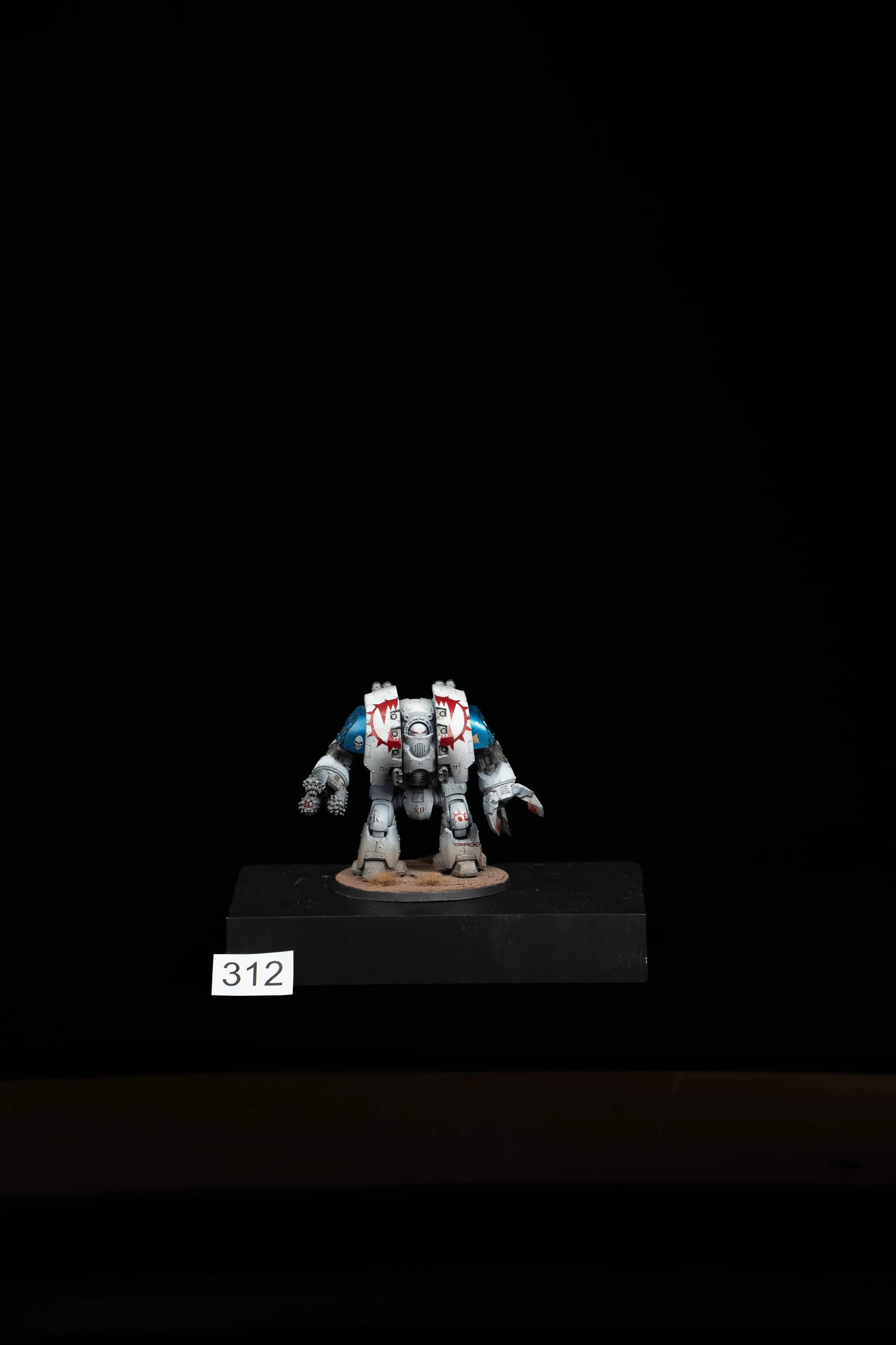 312.jpg