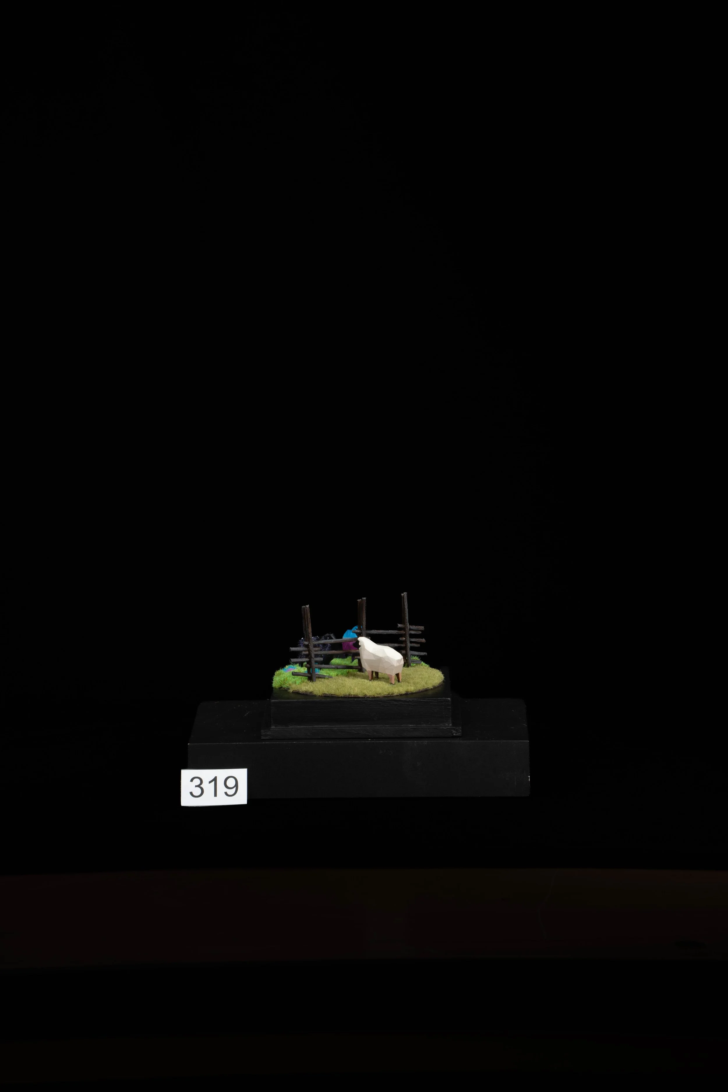 319.jpg