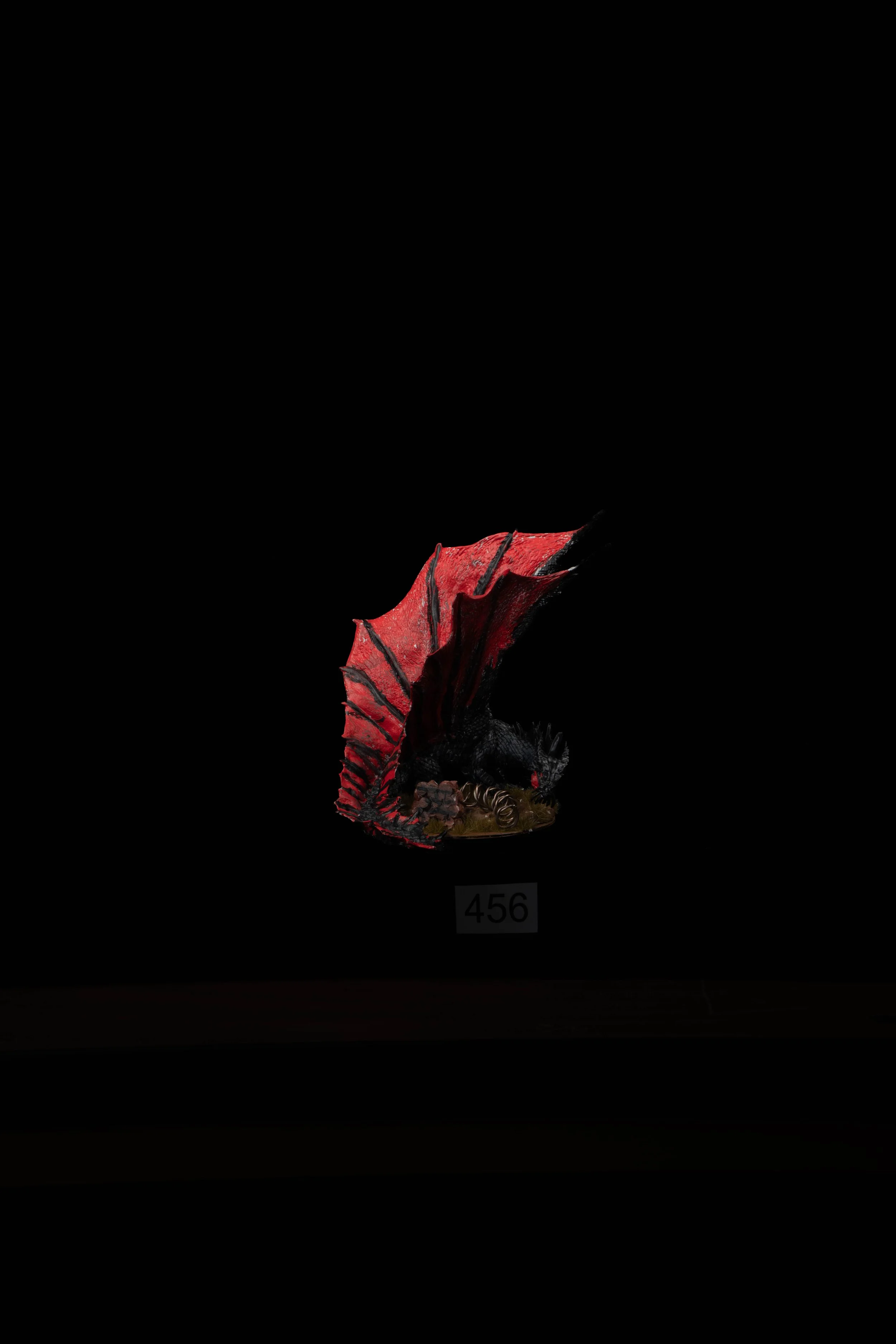 456.jpg