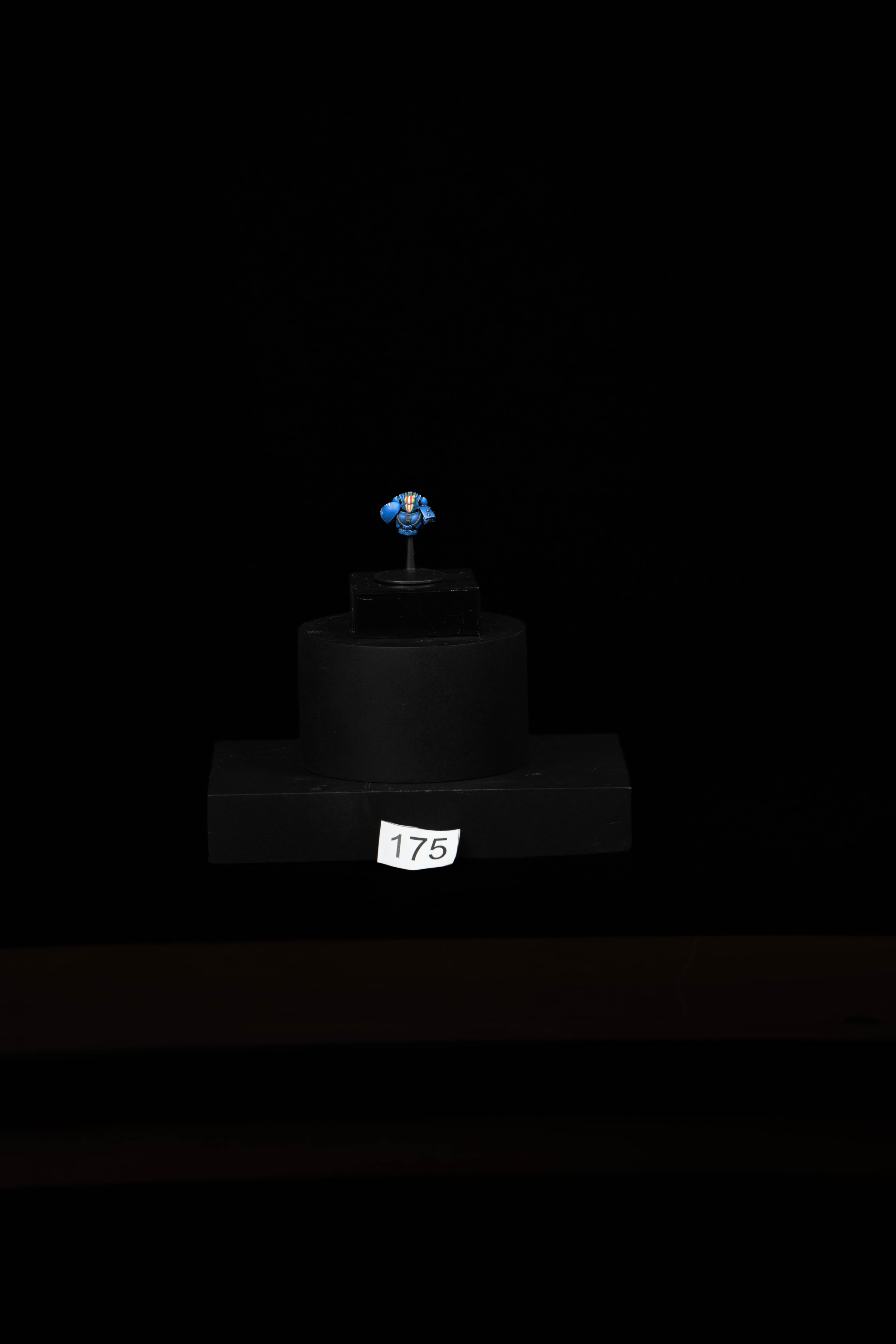 175.jpg